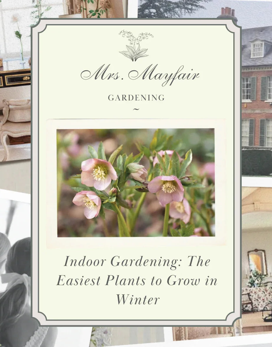 Indoor Gardening: The Easiest Plants to Grow in Winter - The Mayfair Hall