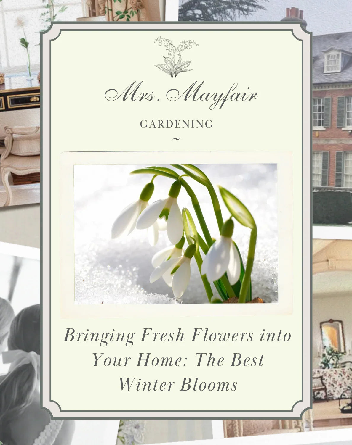 Bringing Fresh Flowers into Your Home: The Best Winter Blooms