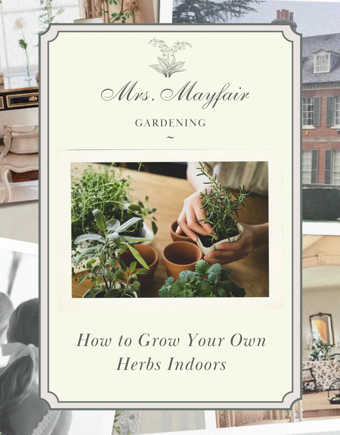 How to Grow Your Own Herbs Indoors - The Mayfair Hall