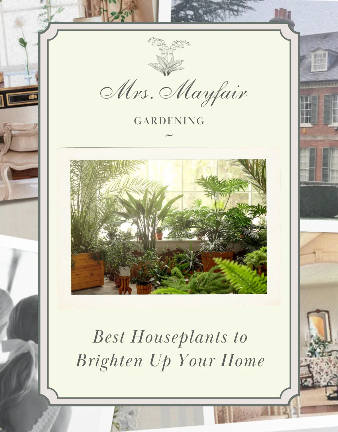 Best Houseplants to Brighten Up Your Home