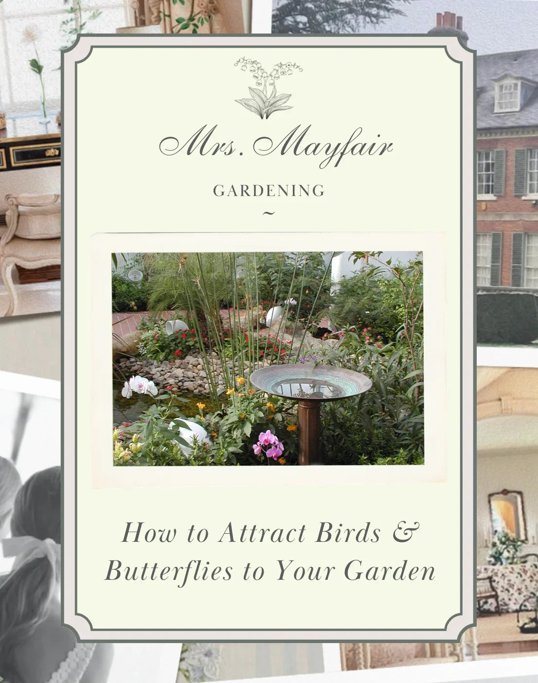 How to Attract Birds and Butterflies to Your Garden