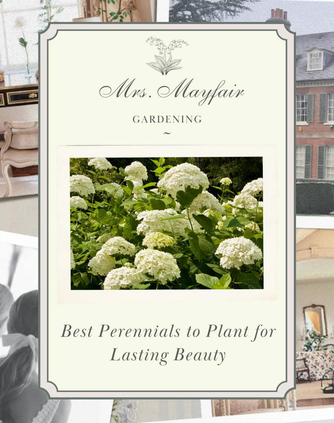 Best Perennials to Plant for Lasting Beauty