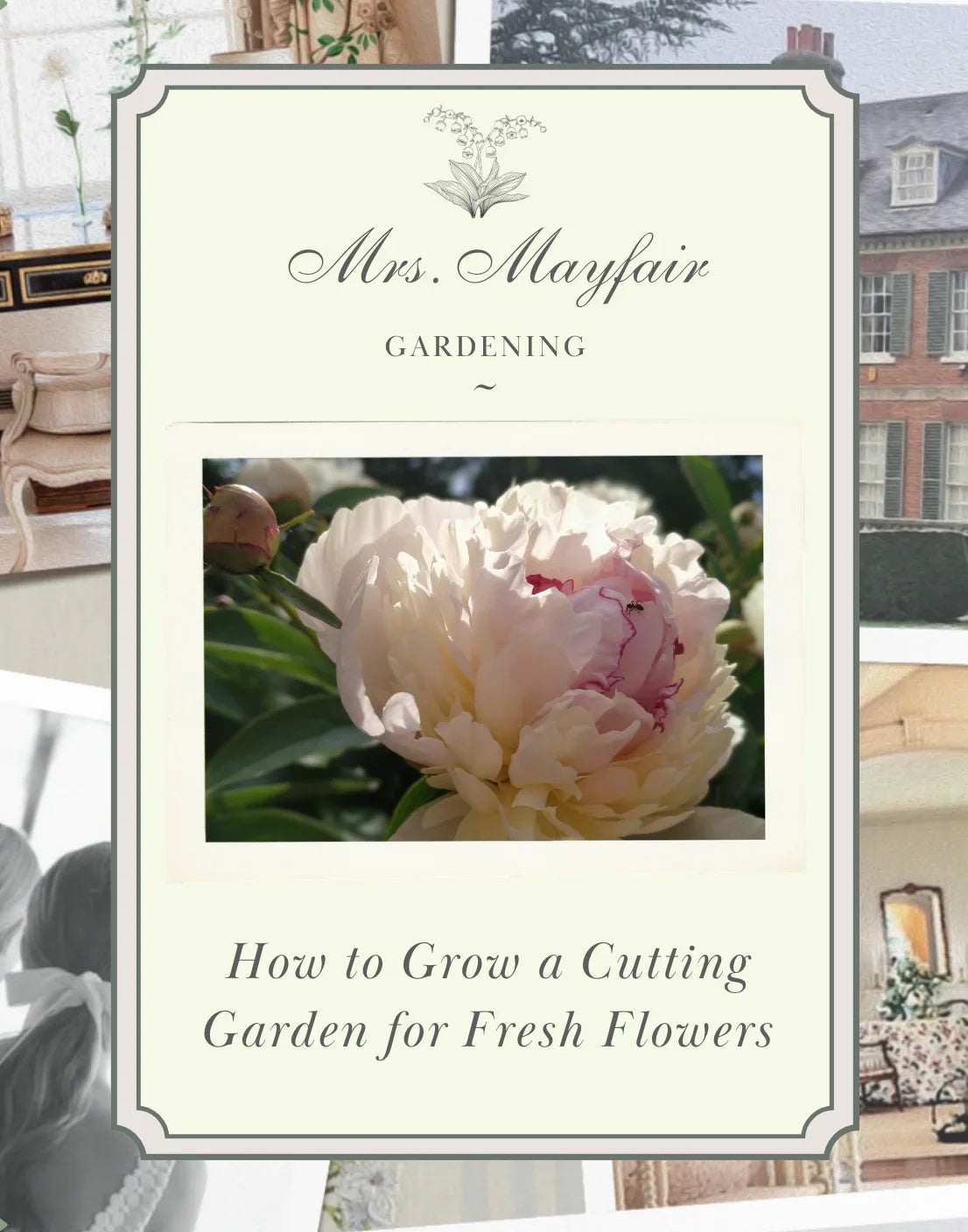 How to Grow a Cutting Garden for Fresh Flowers