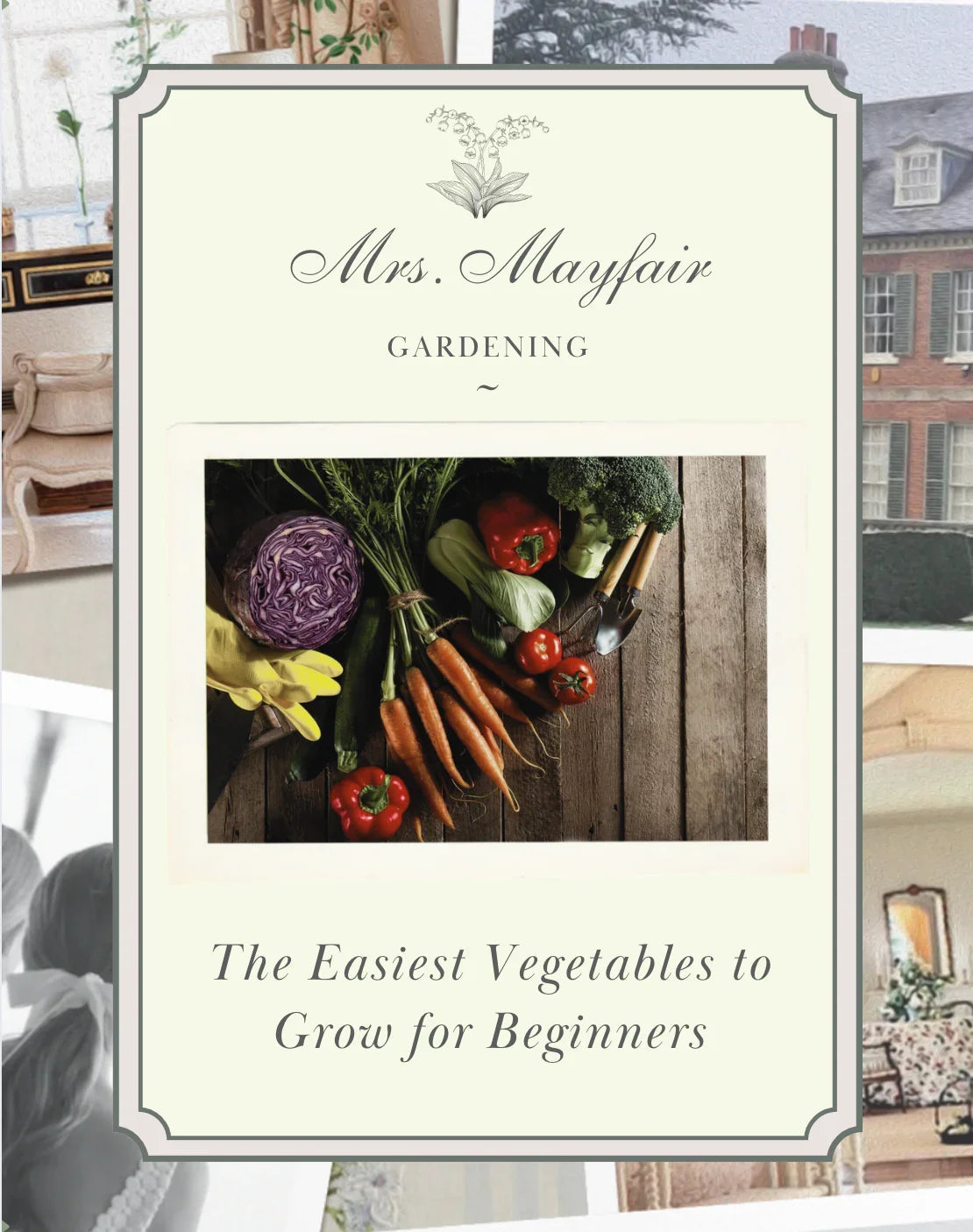 The Easiest Vegetables to Grow for Beginners