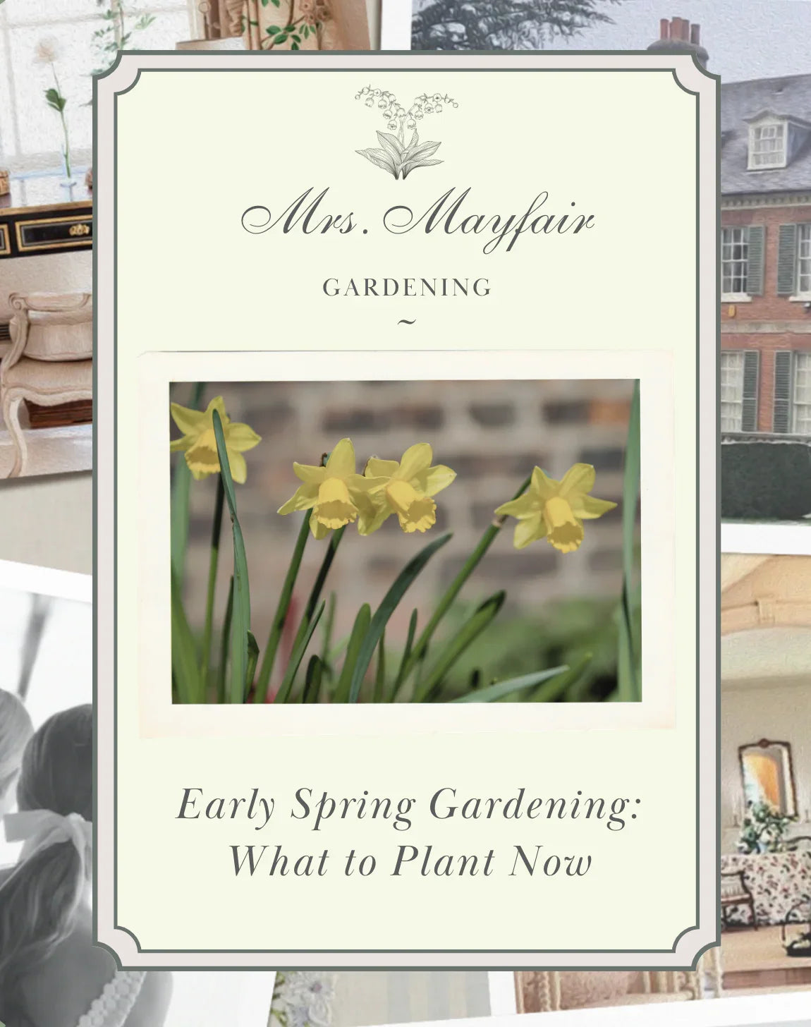 Early Spring Gardening: What to Plant Now - The Mayfair Hall