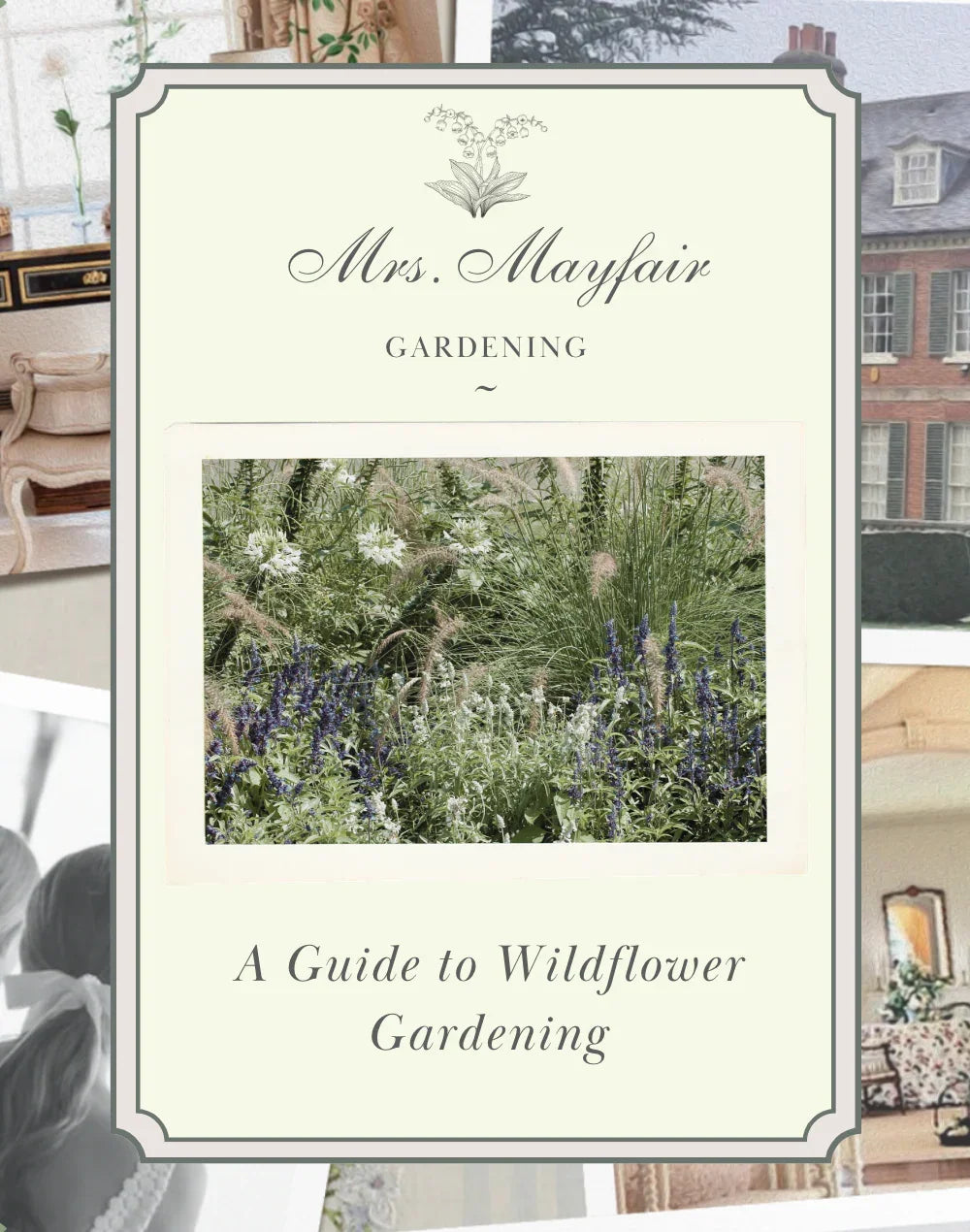 A Guide to Wildflower Gardening - The Mayfair Hall