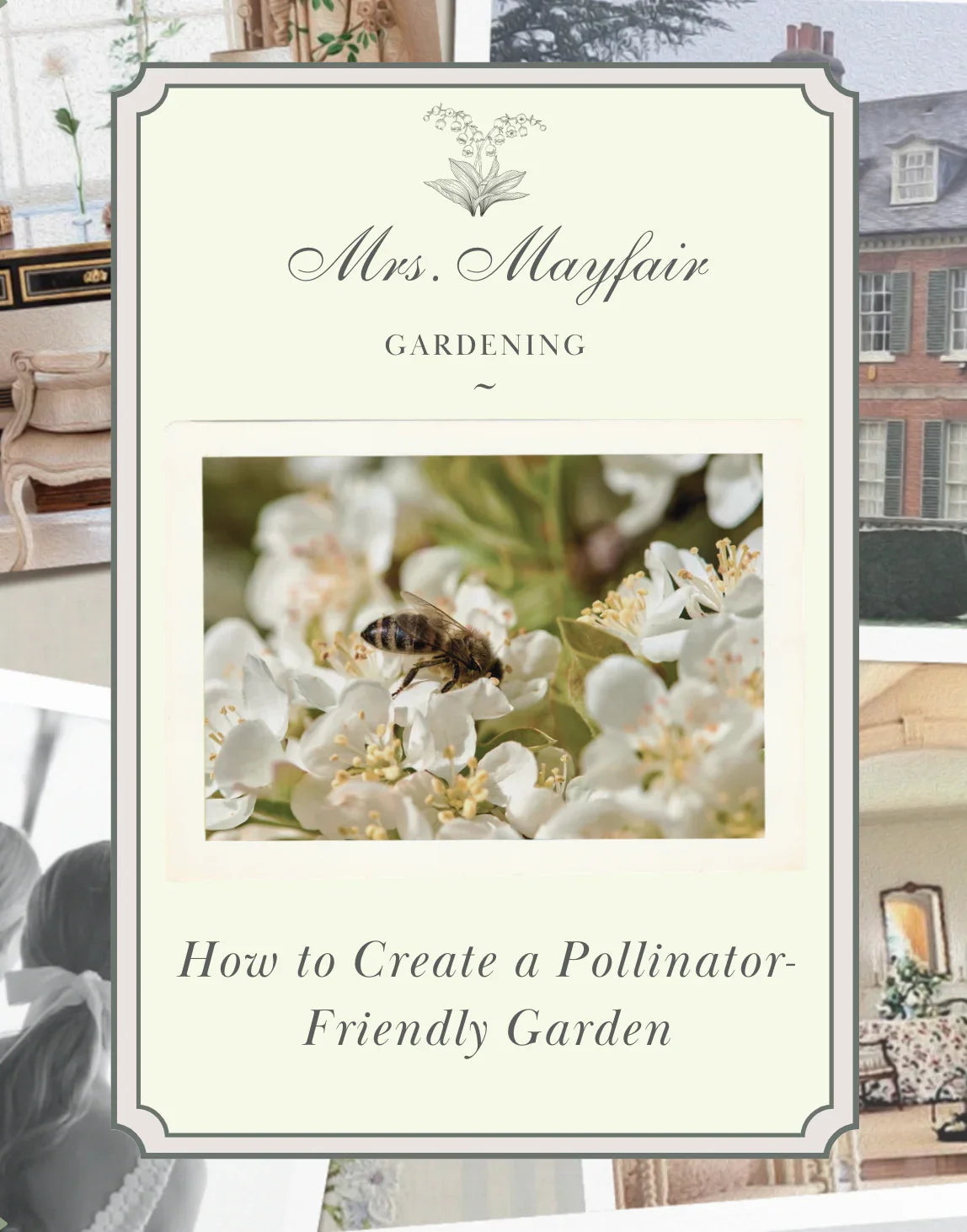 How to Create a Pollinator-Friendly Garden - The Mayfair Hall