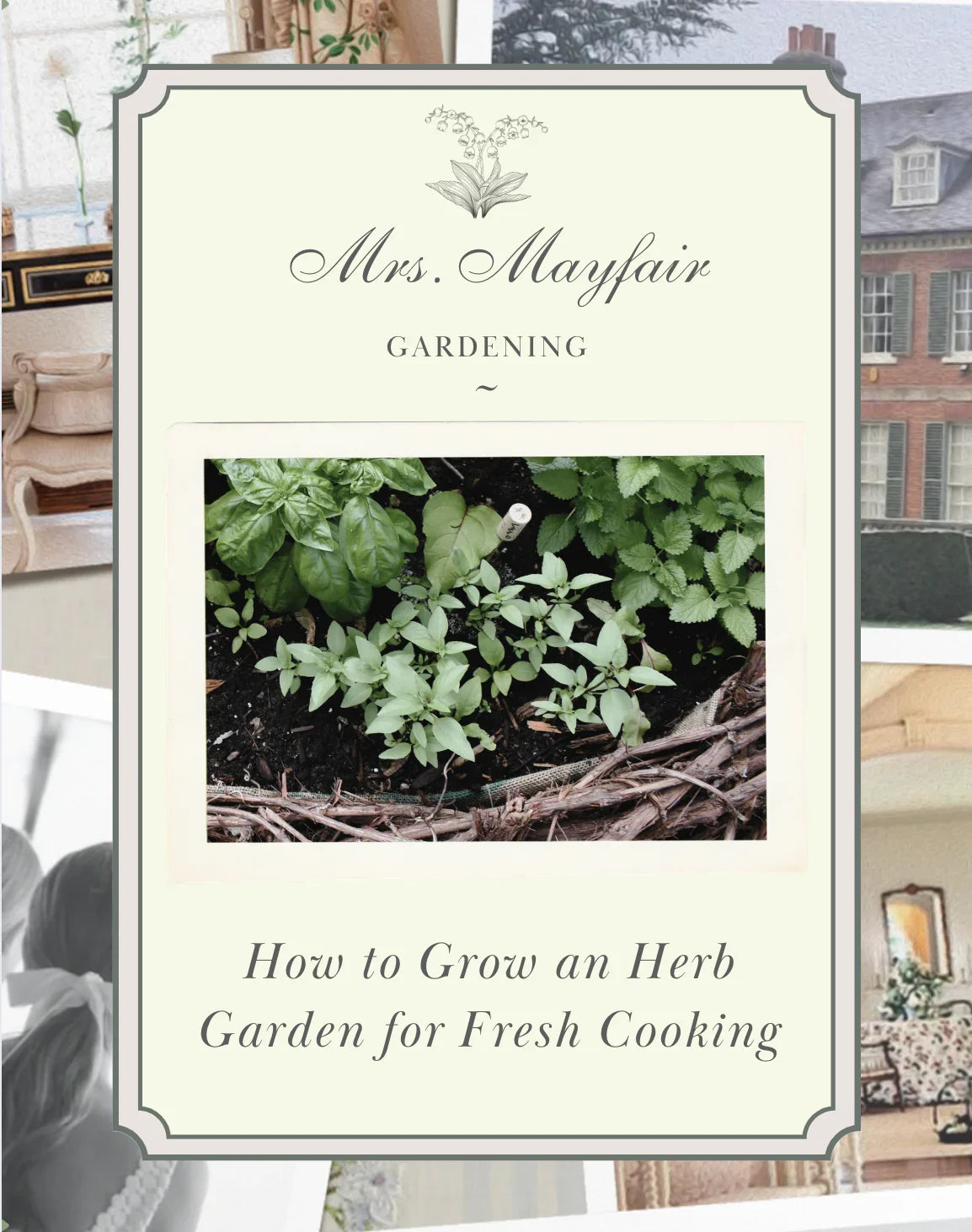 How to Grow an Herb Garden for Fresh Cooking - The Mayfair Hall