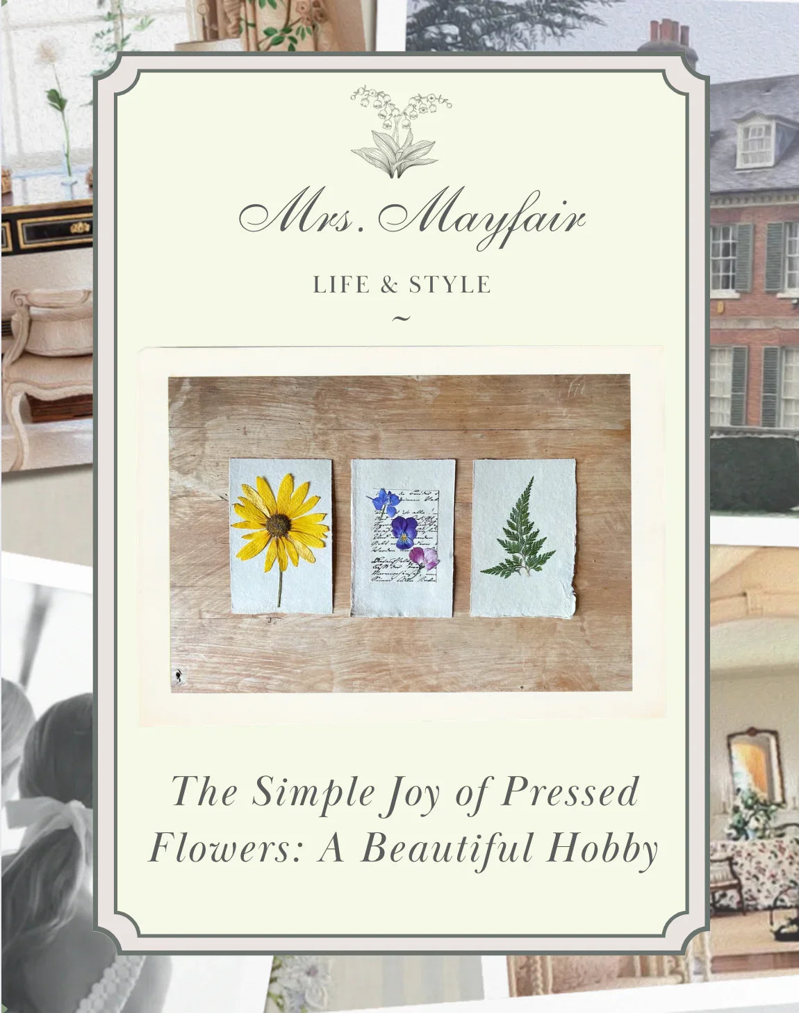 The Simple Joy of Pressed Flowers: A Beautiful Hobby - The Mayfair Hall