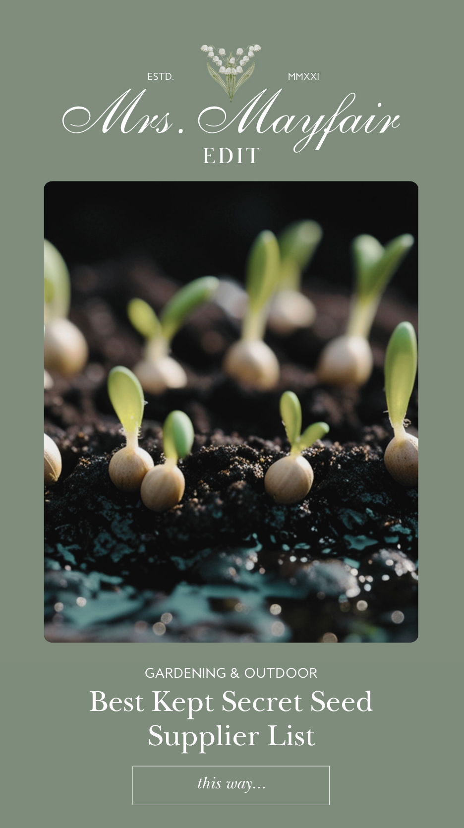 Mrs. Mayfair’s Best Kept Secret Seed Supplier List