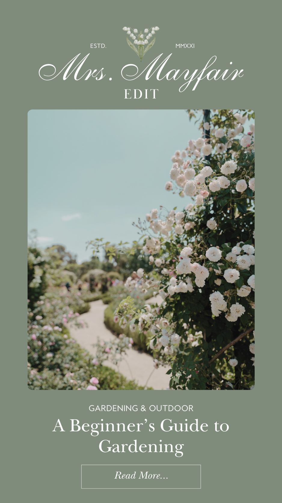 A Beginner’s Guide to Gardening: Essential Tips and Tools for Starting Your Garden Journey