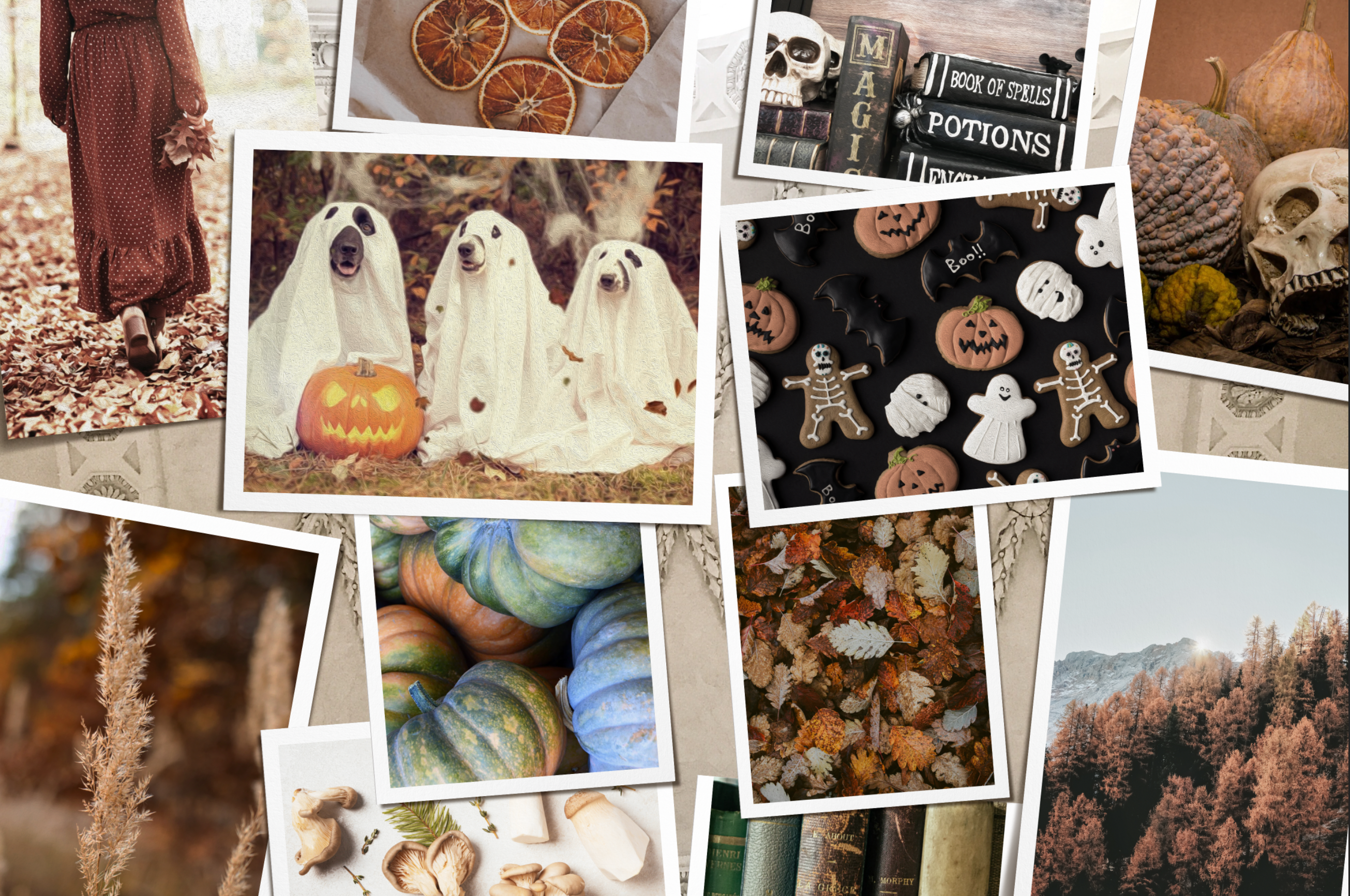 The Halloween Collection