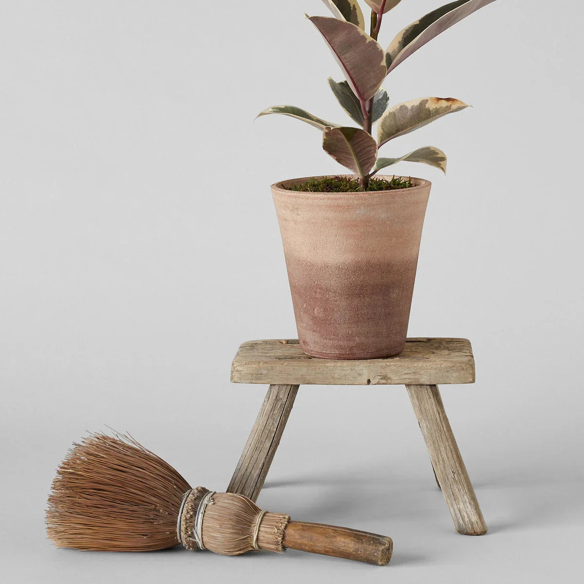 Whitewash Terracotta Studio Planter - The Mayfair Hall