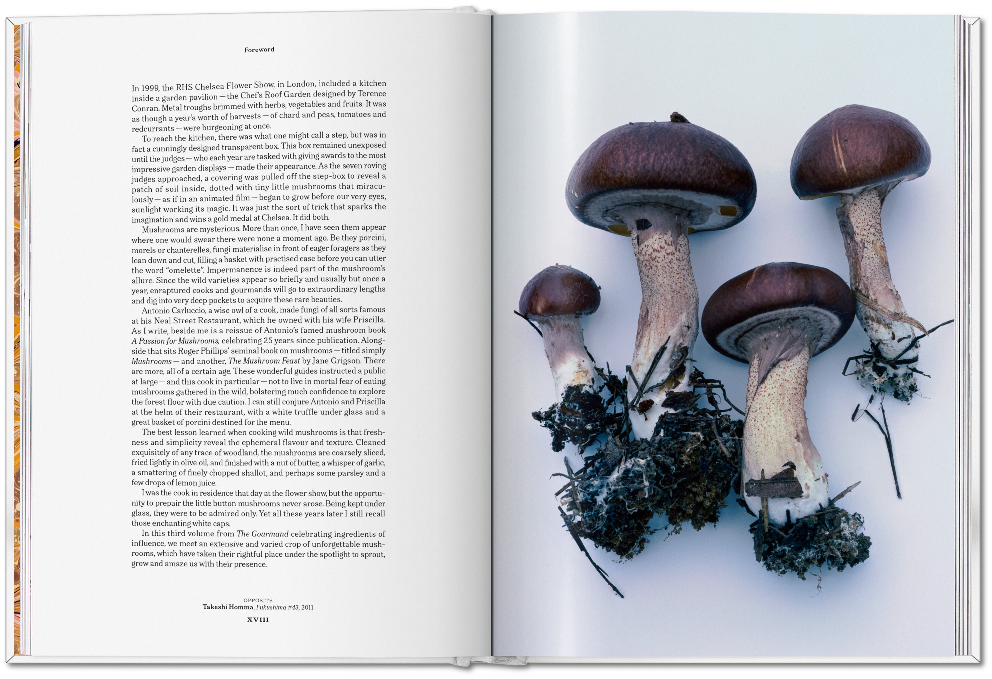 The Gourmand's Mushroom. A Collection of Stories and Recipes (English)