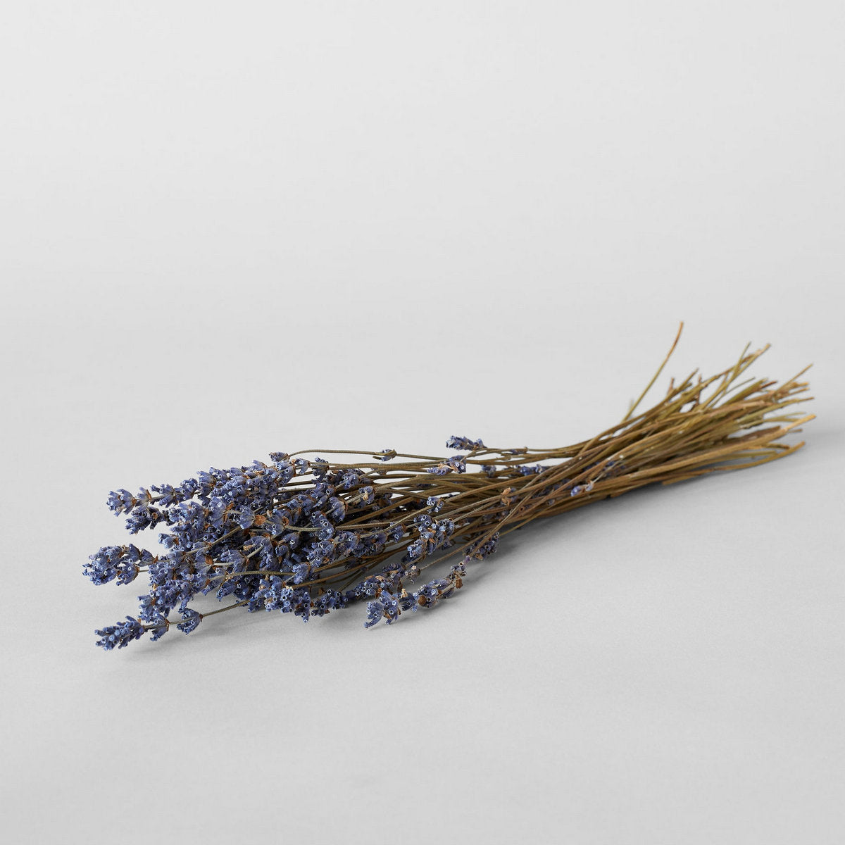 Dried Lavender