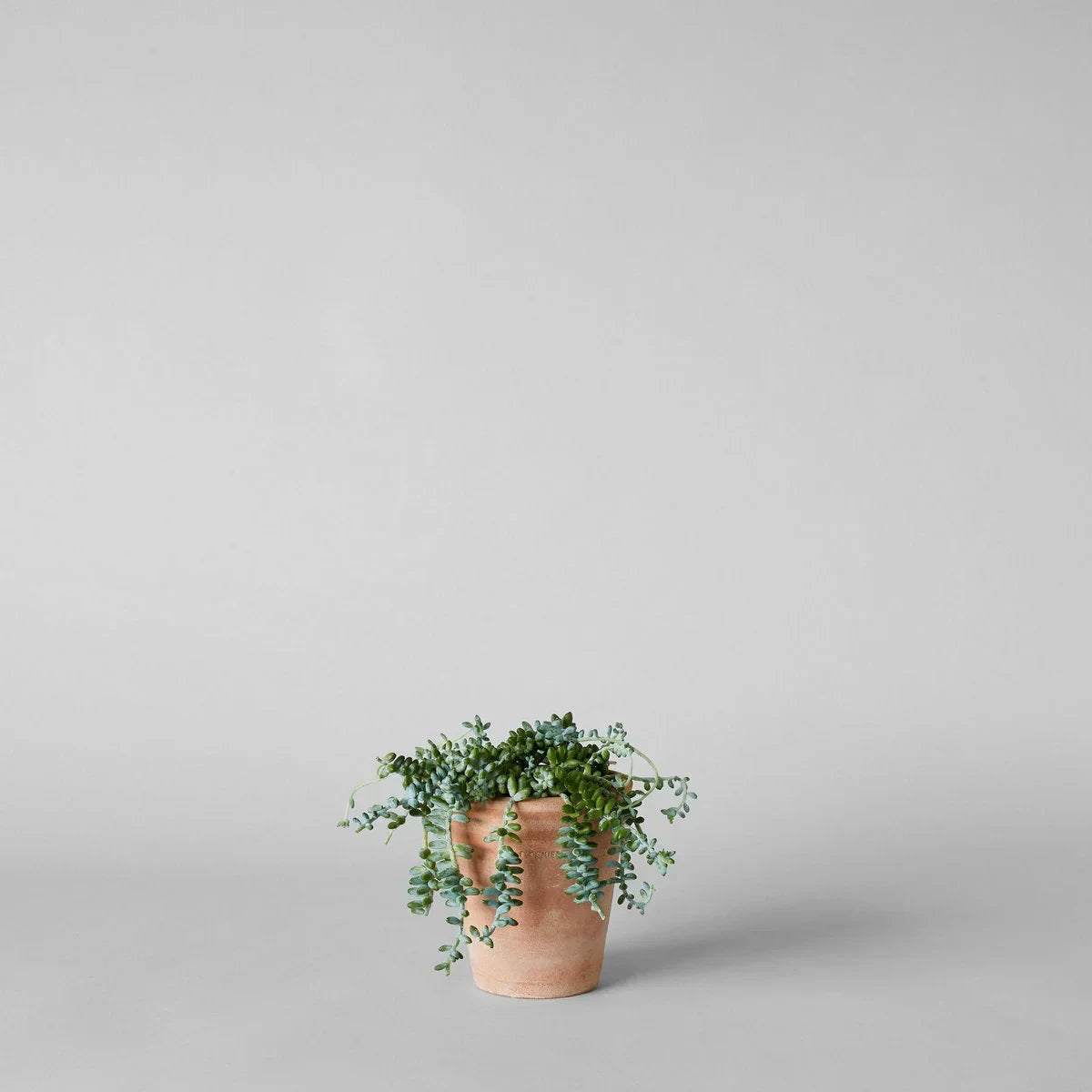 Whitewash Terracotta Studio Planter - The Mayfair Hall