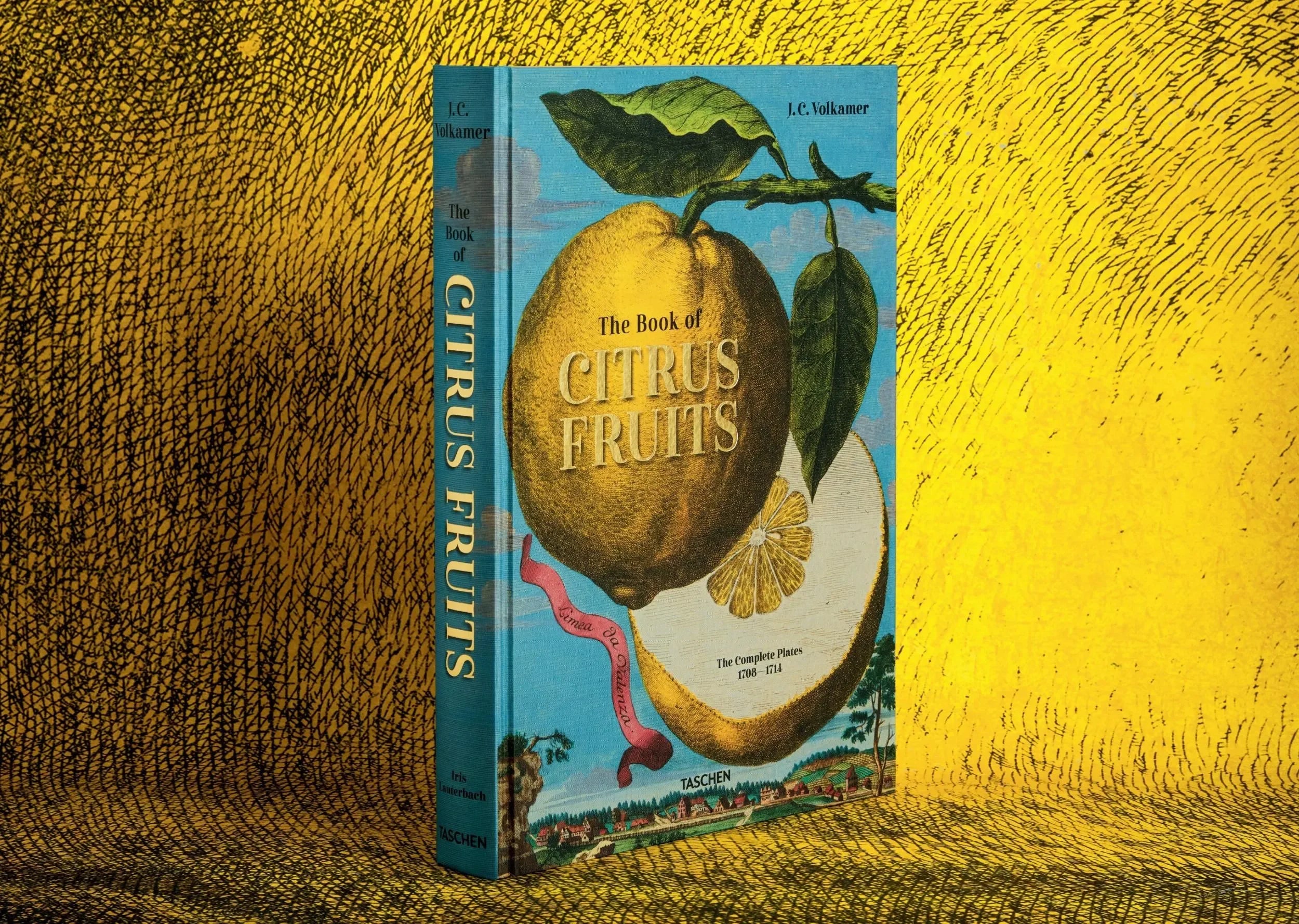 J. C. Volkamer. The Book of Citrus Fruits (German, French, English) - The Mayfair Hall