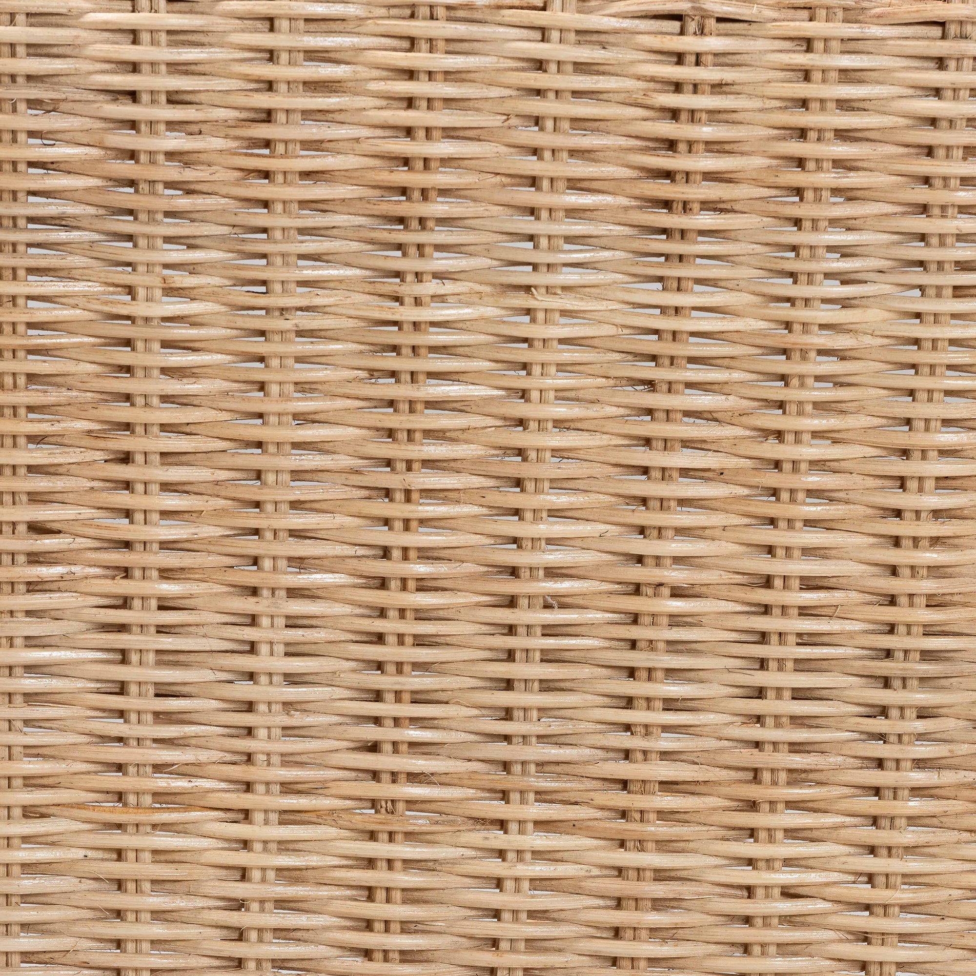 Regan Rattan Arm Chair