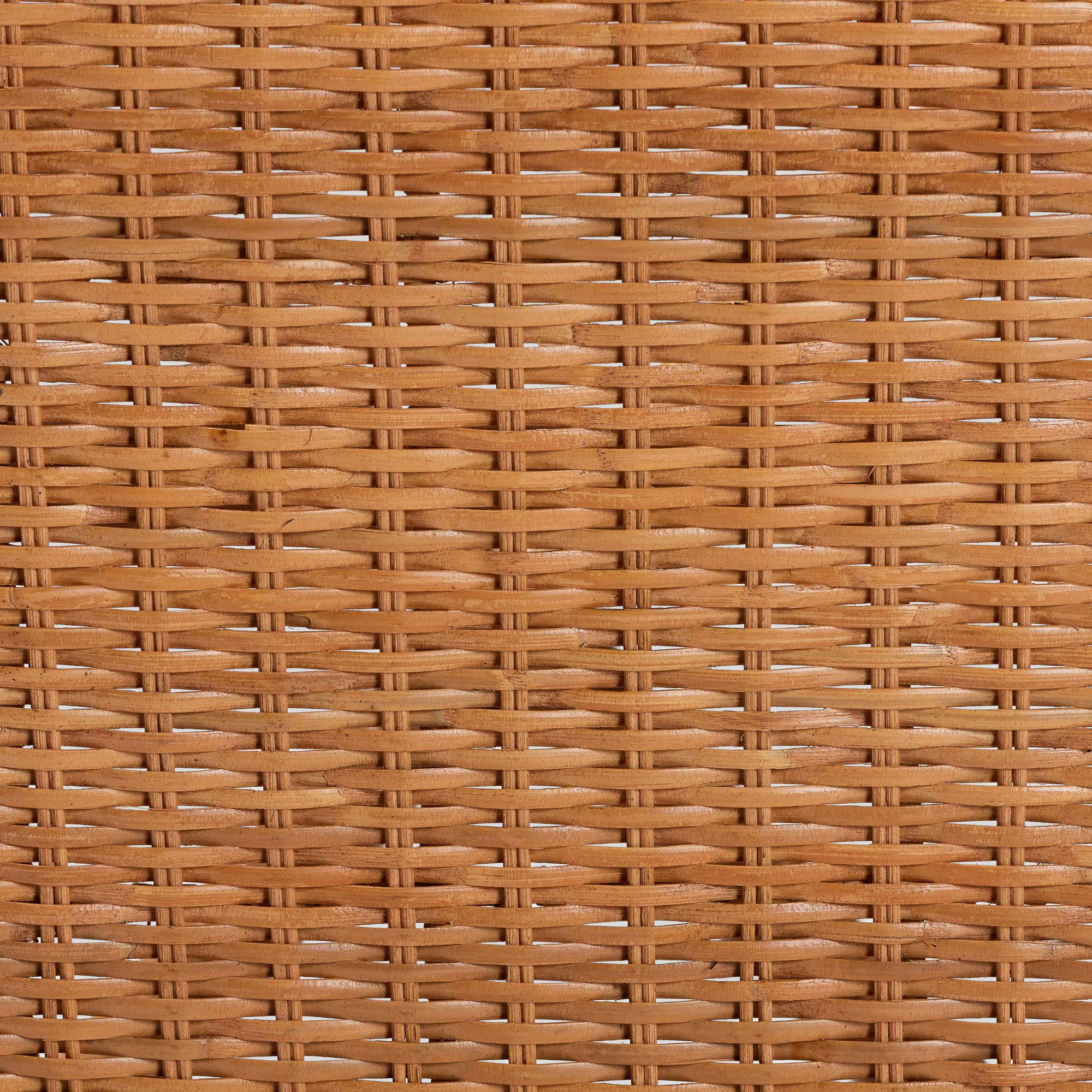 Nerissa Rattan 2-Piece Dining Chair Set