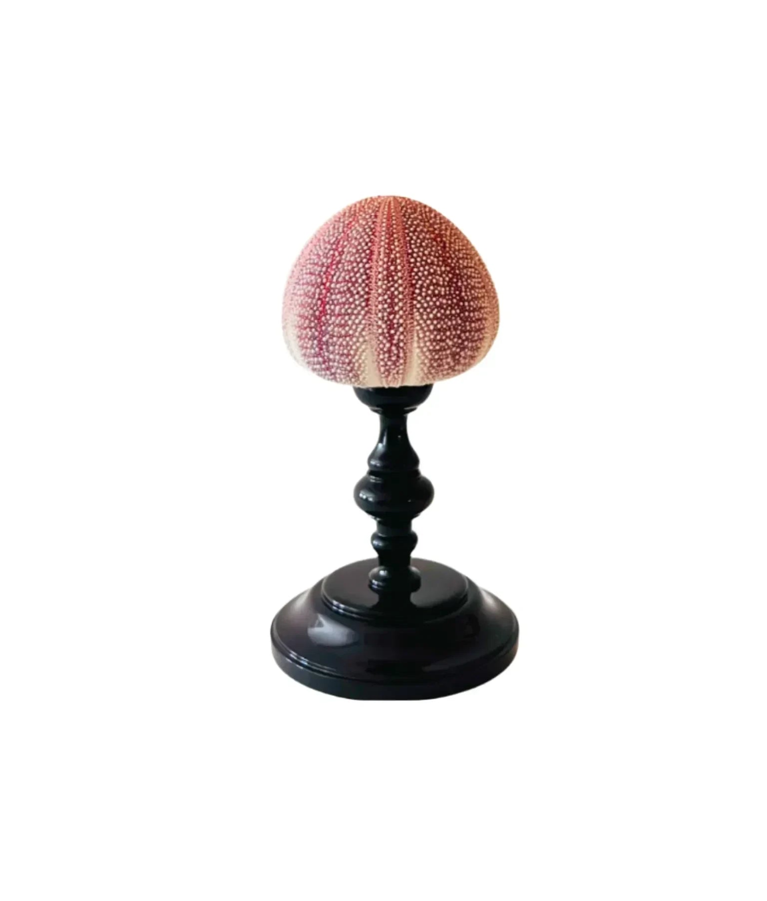 Noto Lacquered Sea Urchin Object, Marrone - The Mayfair Hall