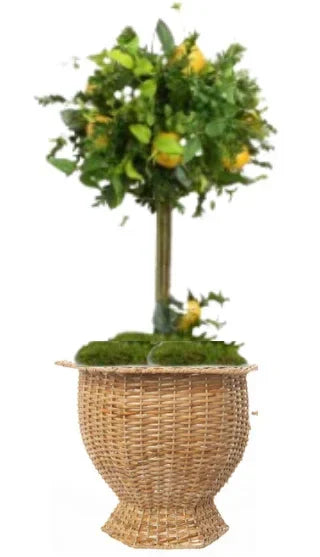 Deep Hexagon Wicker Planter in Natural - The Mayfair Hall