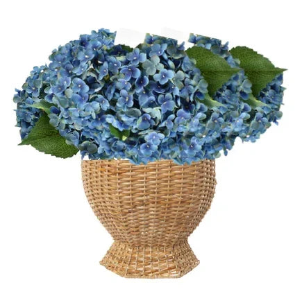 Deep Hexagon Wicker Planter in Natural - The Mayfair Hall