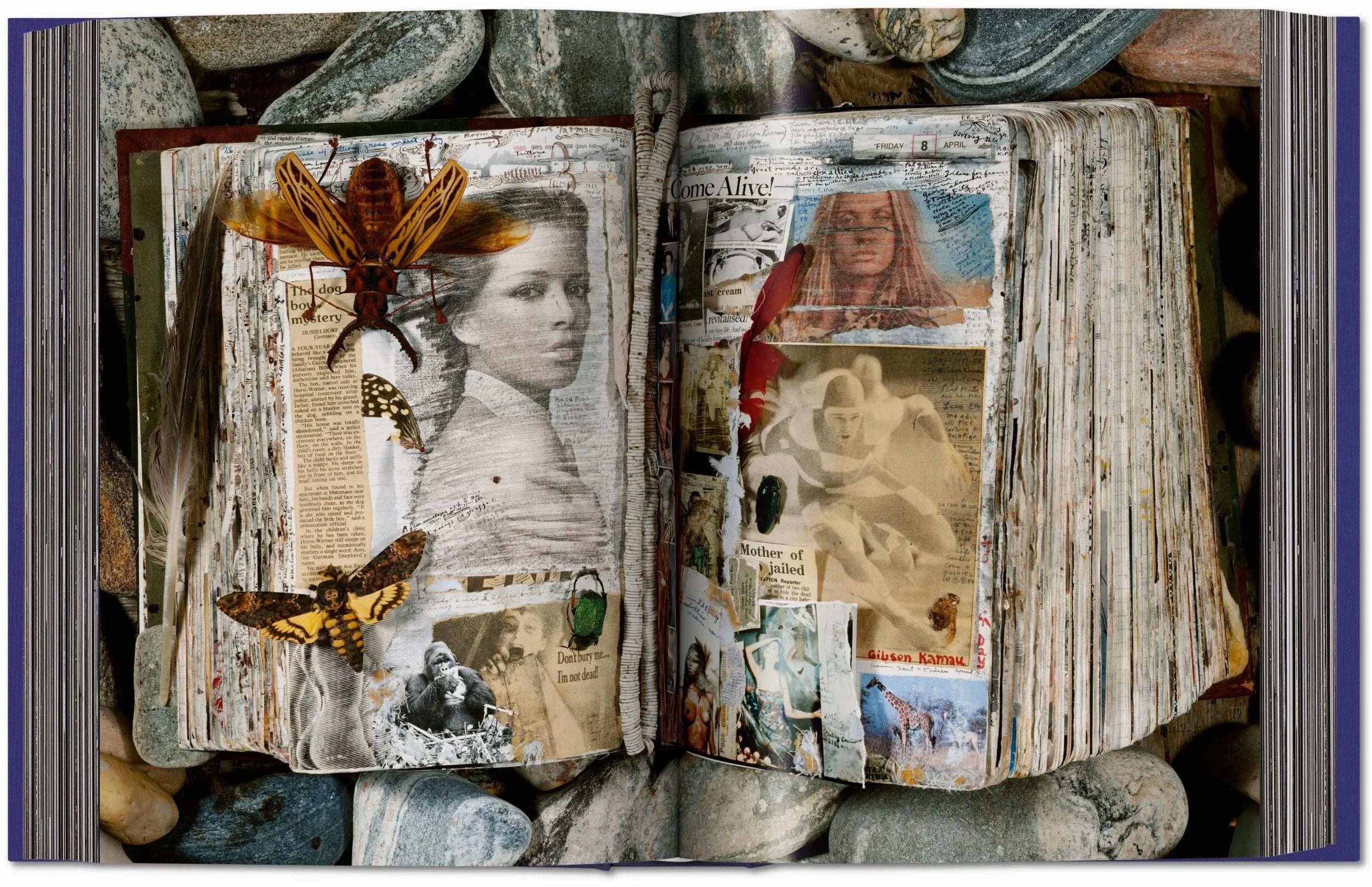 Peter Beard (German, French, English) - The Mayfair Hall