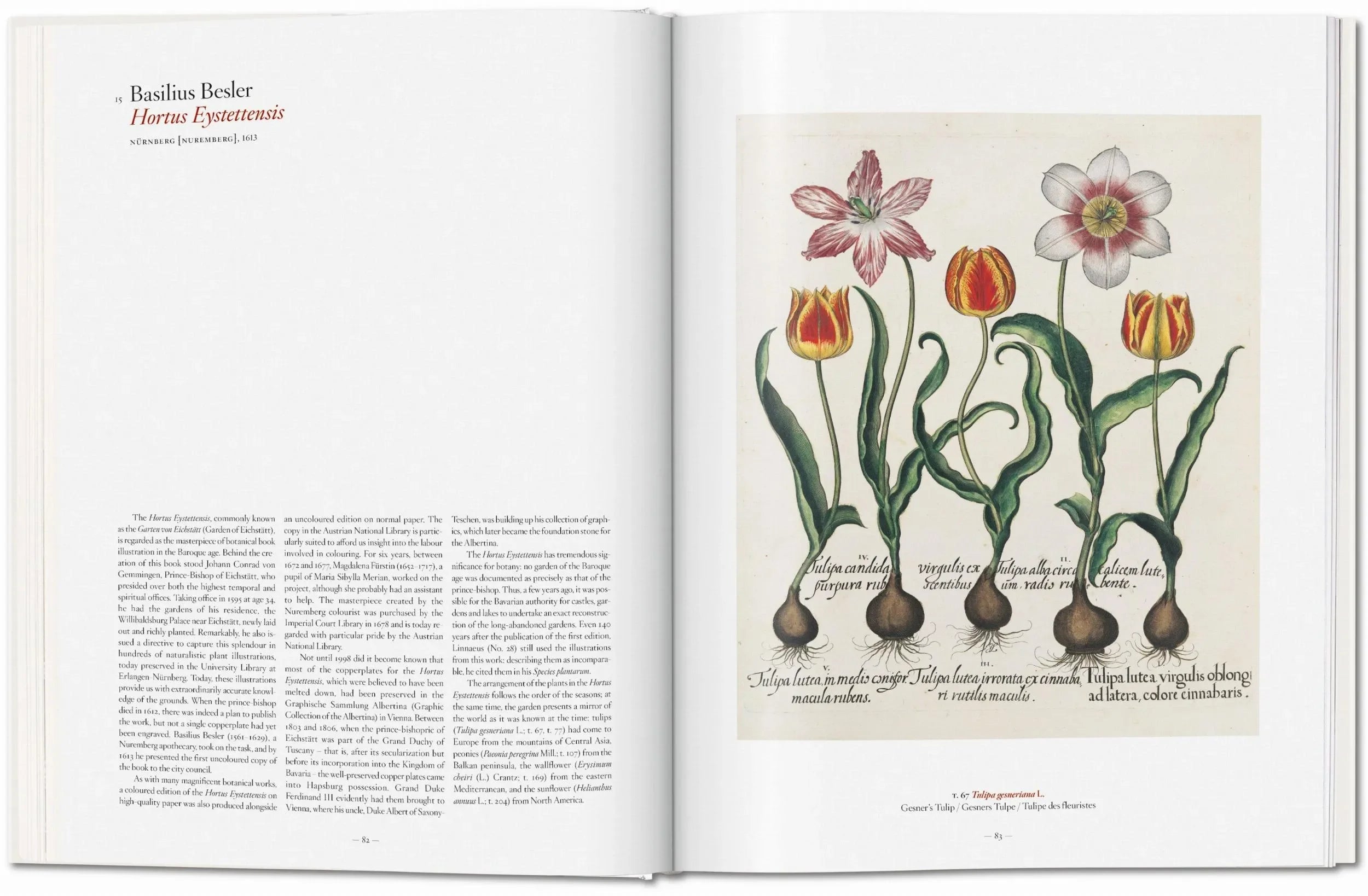 A Garden Eden. Masterpieces of Botanical Illustration (German, French, English) - The Mayfair Hall