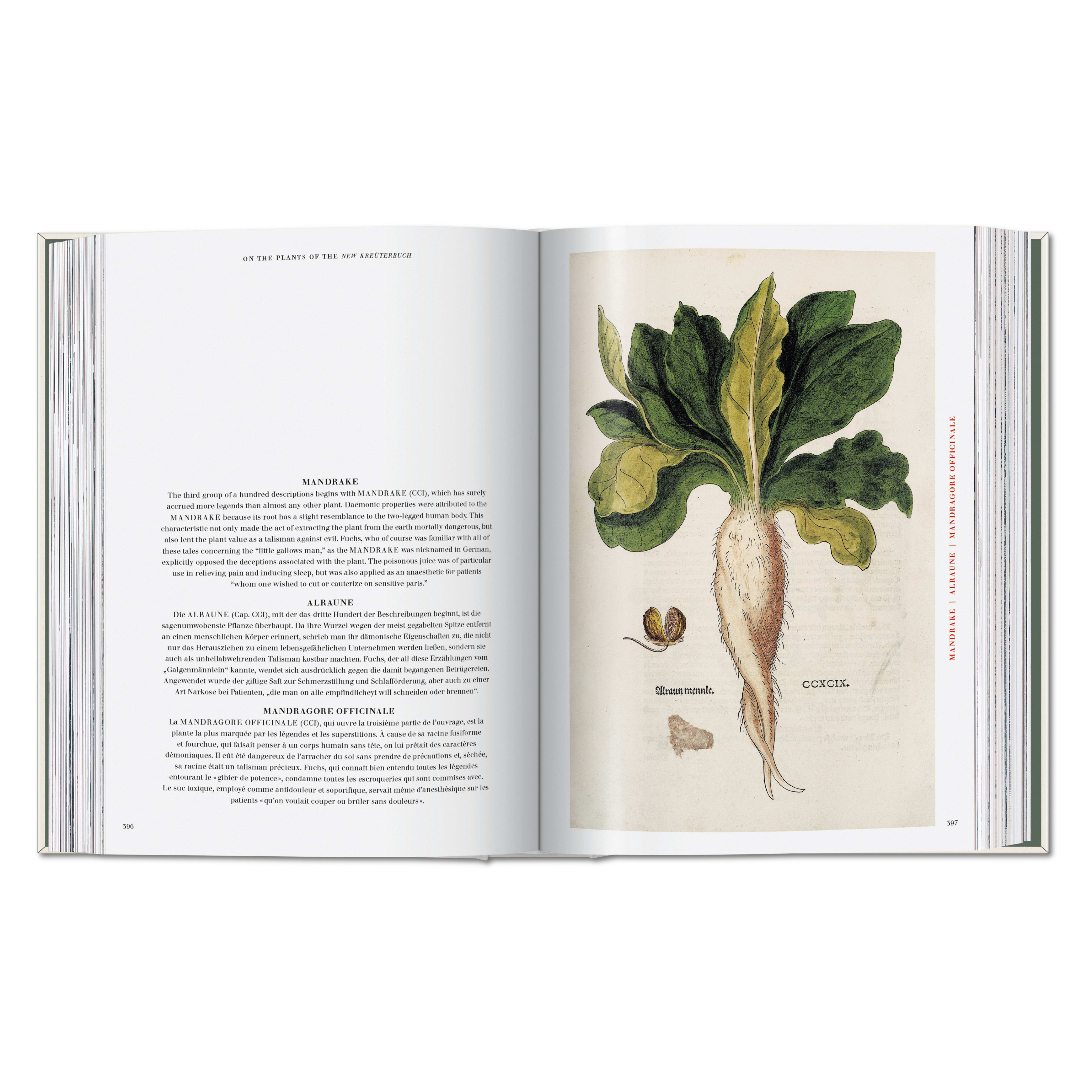 Leonhart Fuchs. The New Herbal (German, French, English)