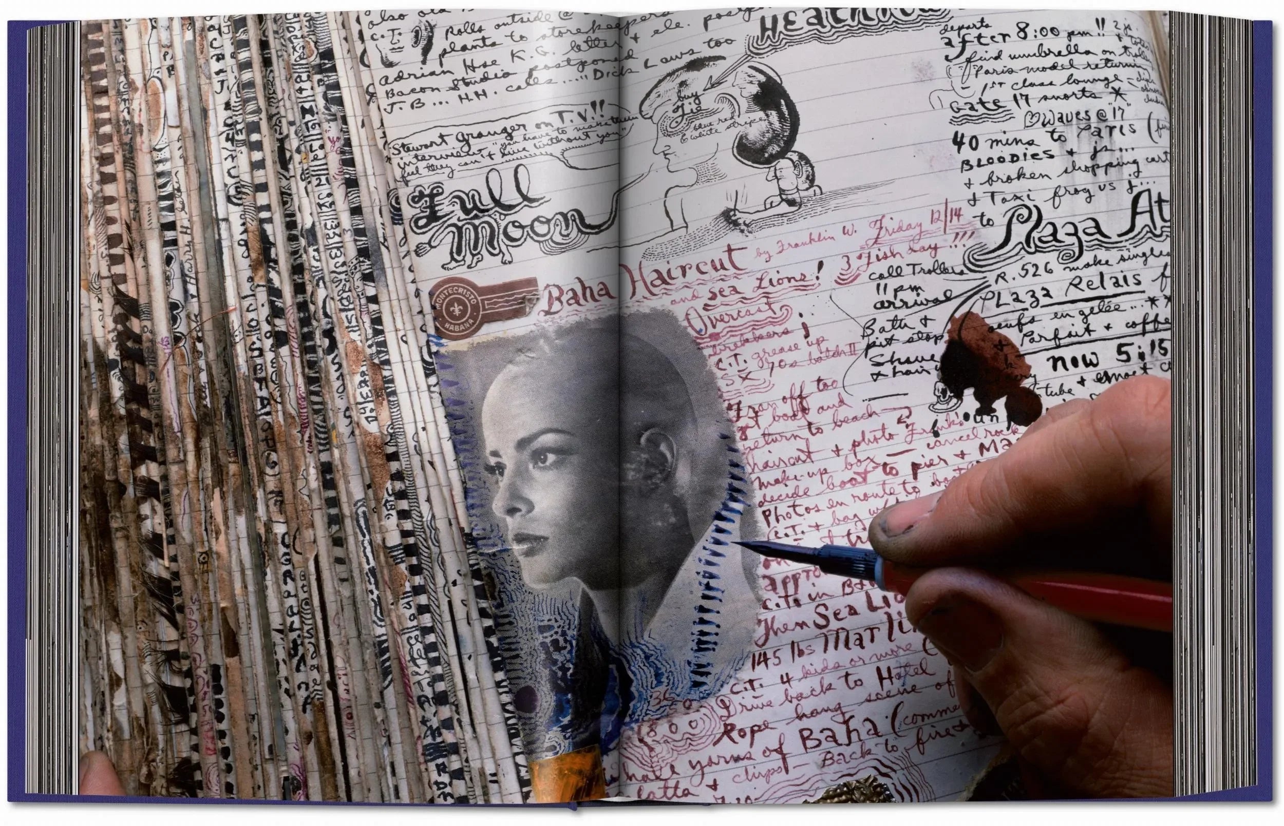 Peter Beard (German, French, English) - The Mayfair Hall