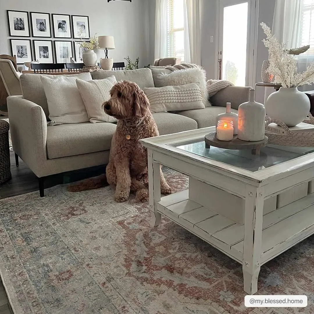 Emke Cream Washable Area Rug - The Mayfair Hall