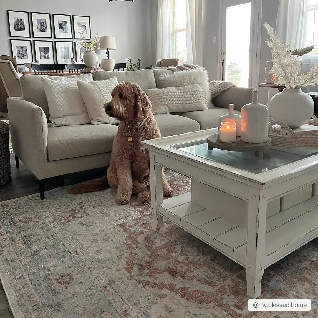 Emke Cream Washable Area Rug - The Mayfair Hall