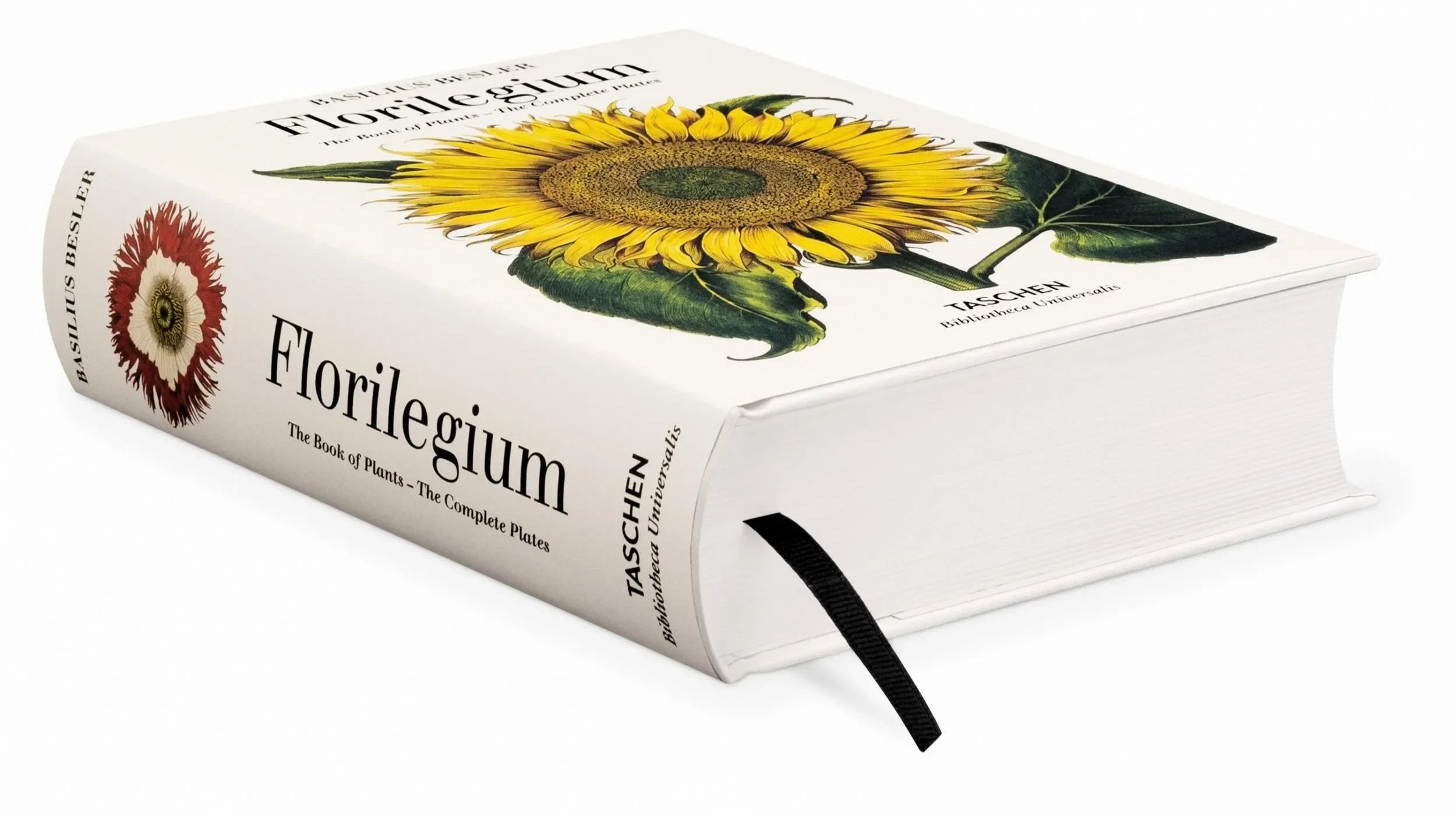 Basilius Besler. Florilegium. The Book of Plants (English) - The Mayfair Hall