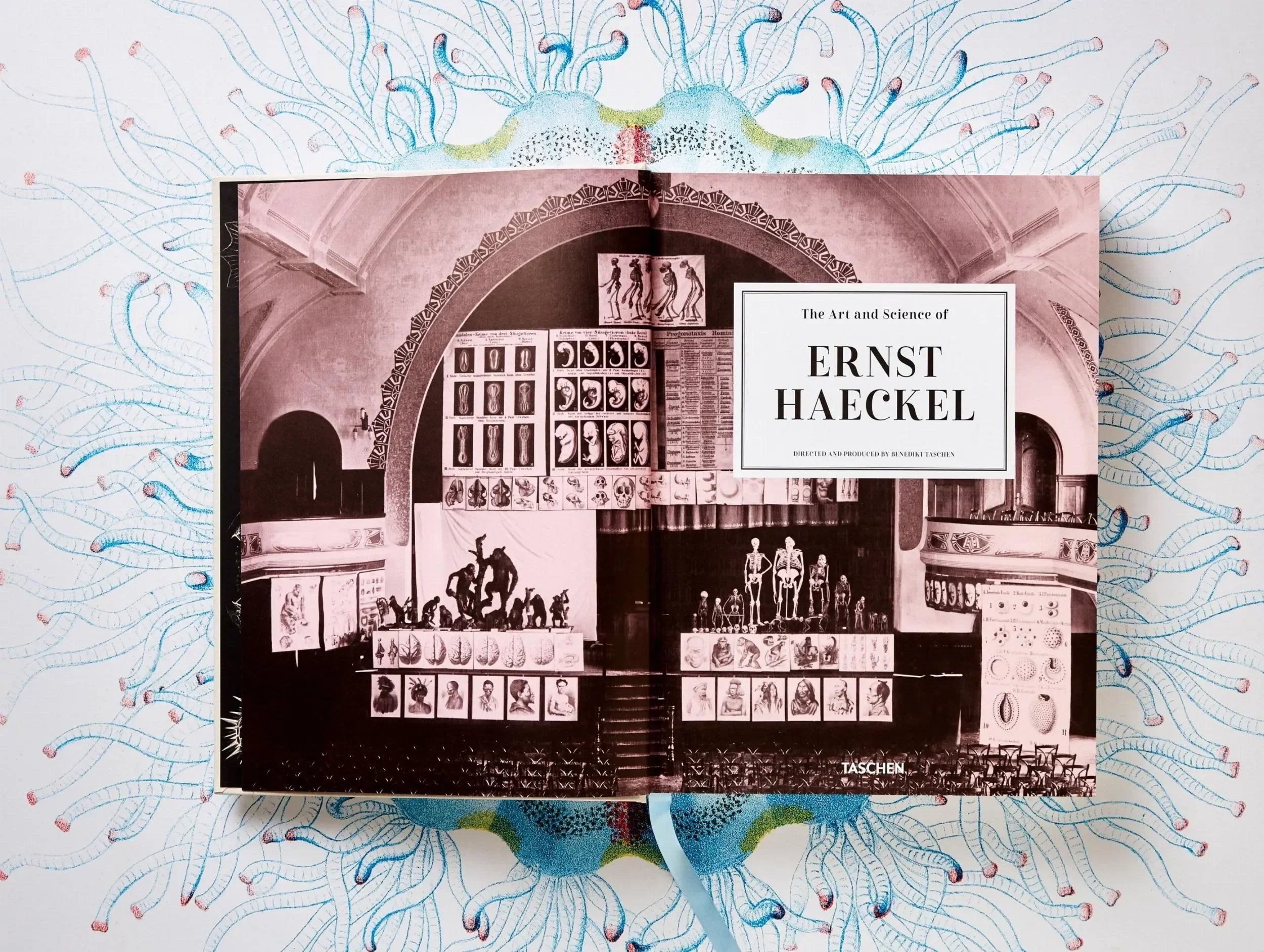 The Art and Science of Ernst Haeckel (German, French, English) - The Mayfair Hall