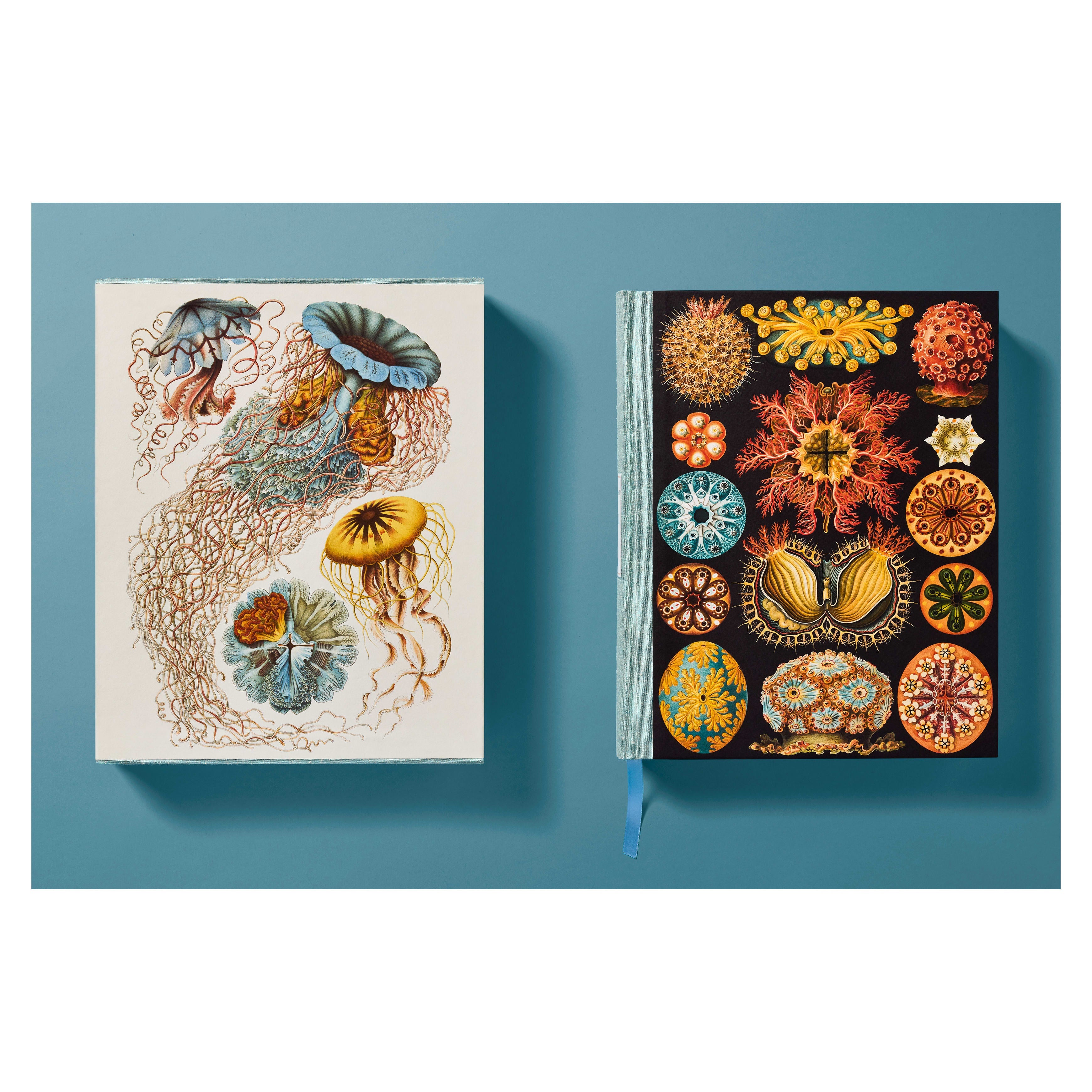 The Art and Science of Ernst Haeckel (German, French, English)
