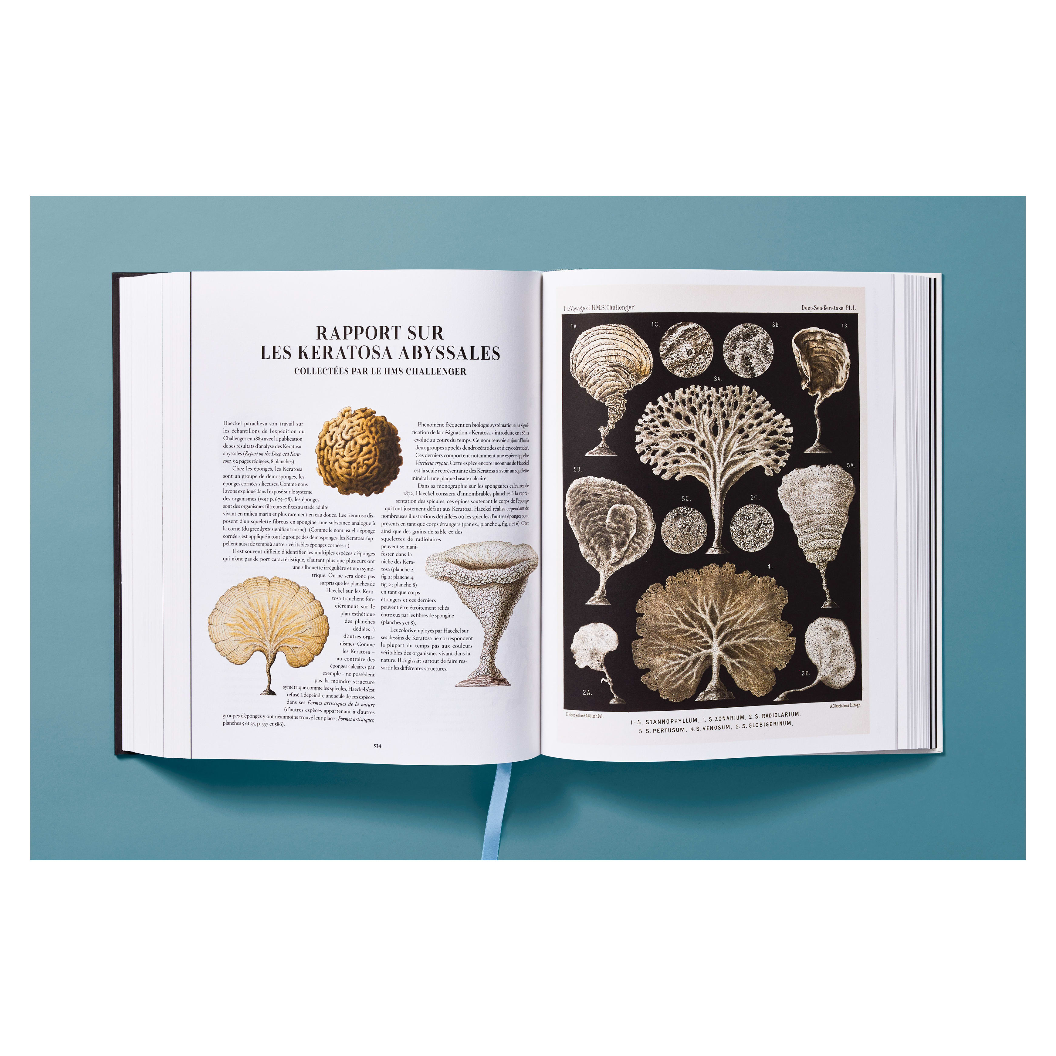 The Art and Science of Ernst Haeckel (German, French, English)