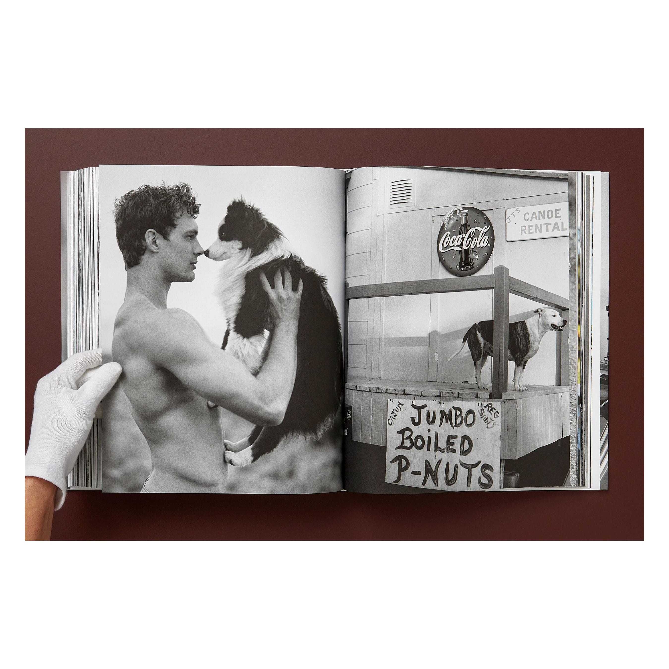 Bruce Weber. The Golden Retriever Photographic Society (German, French, English)