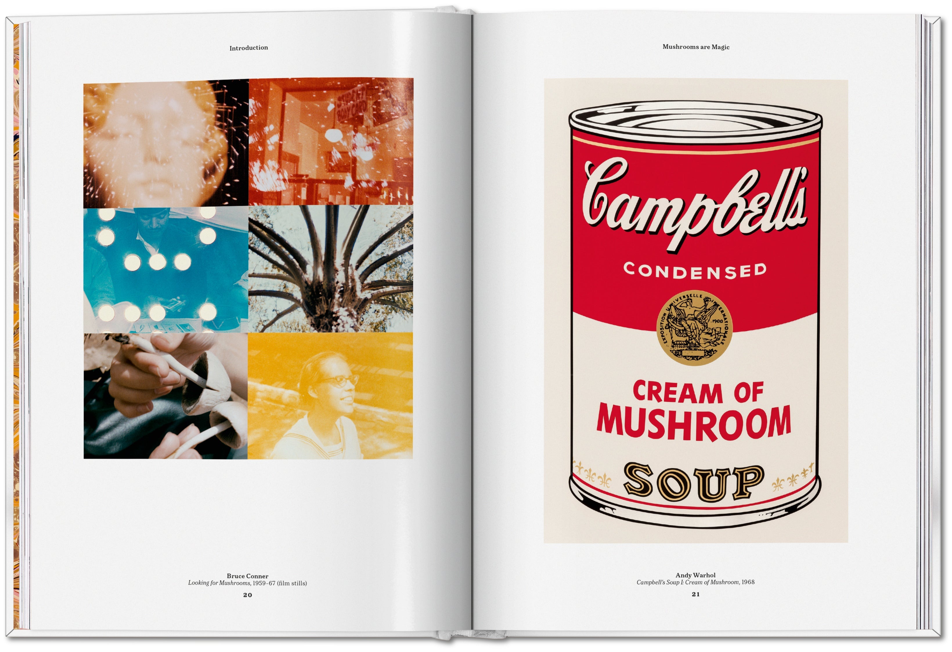 The Gourmand's Mushroom. A Collection of Stories and Recipes (English)