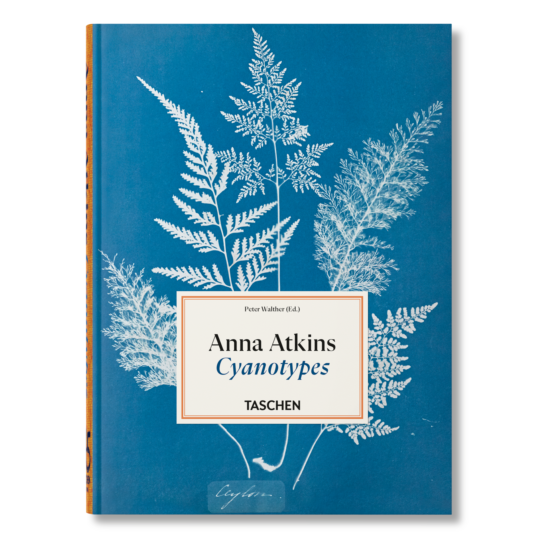 Anna Atkins. Cyanotypes. 45th Ed. (German, French, English)