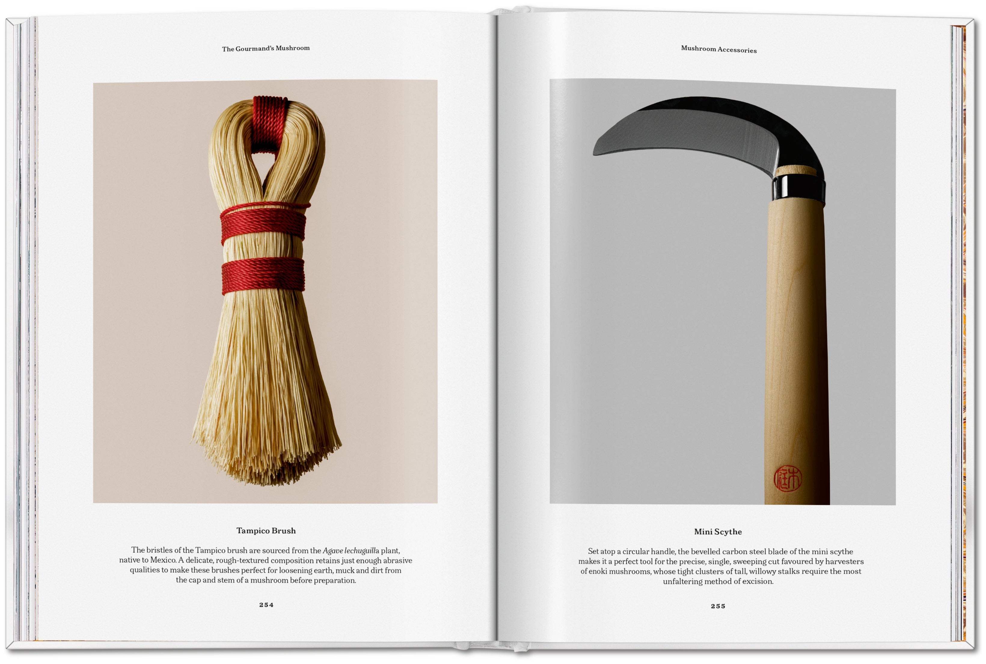 The Gourmand's Mushroom. A Collection of Stories and Recipes (English)