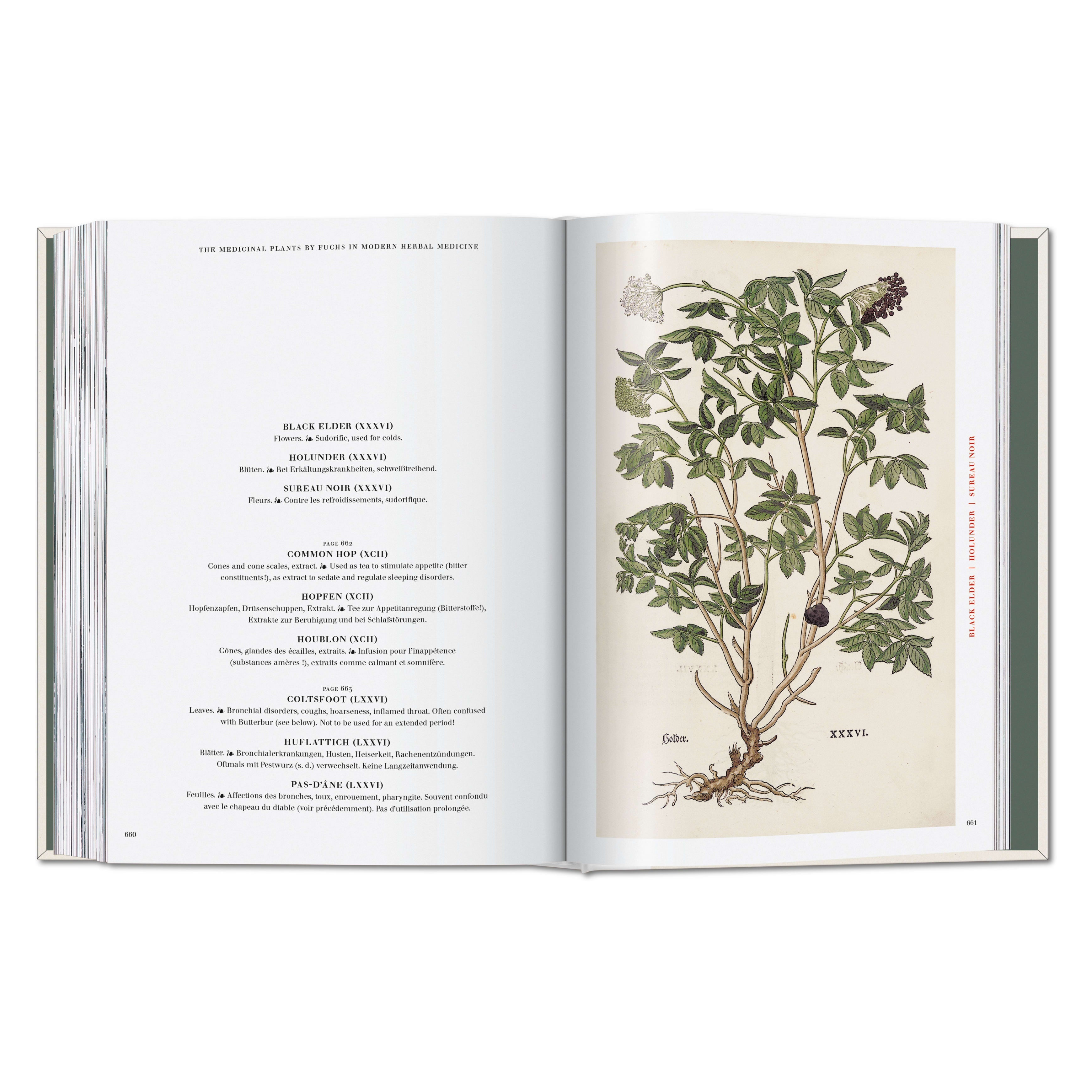 Leonhart Fuchs. The New Herbal (German, French, English)