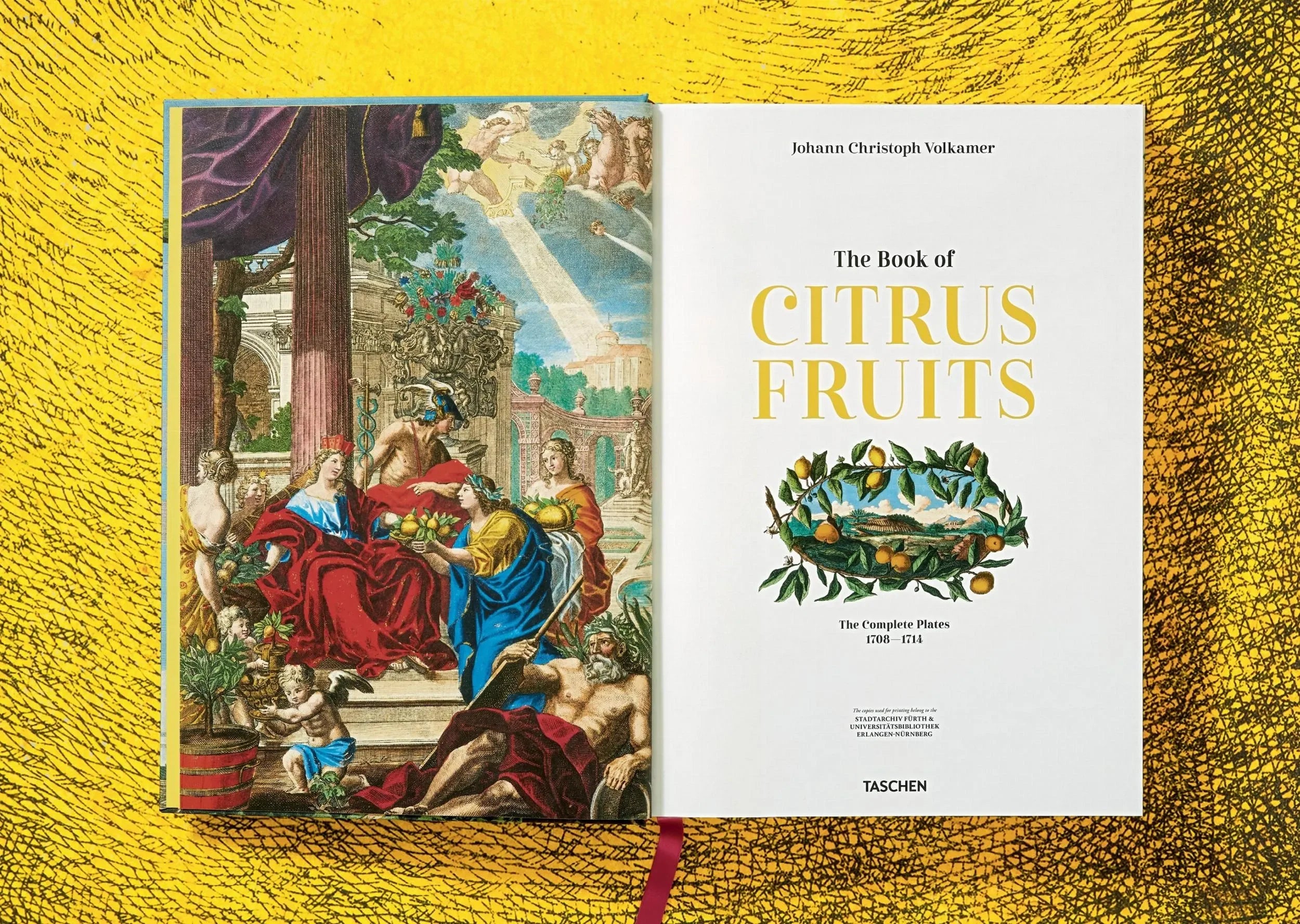 J. C. Volkamer. The Book of Citrus Fruits (German, French, English) - The Mayfair Hall