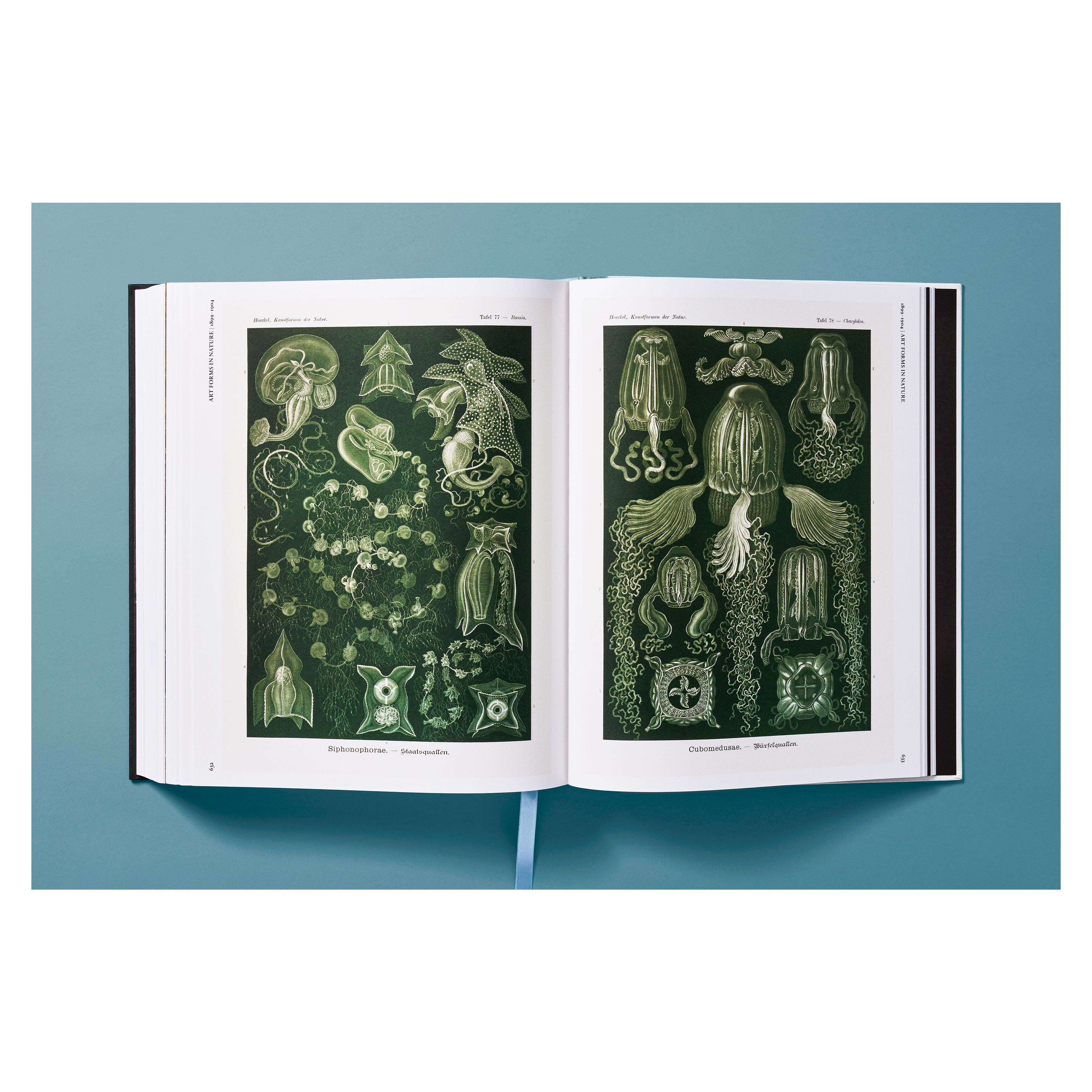 The Art and Science of Ernst Haeckel (German, French, English)
