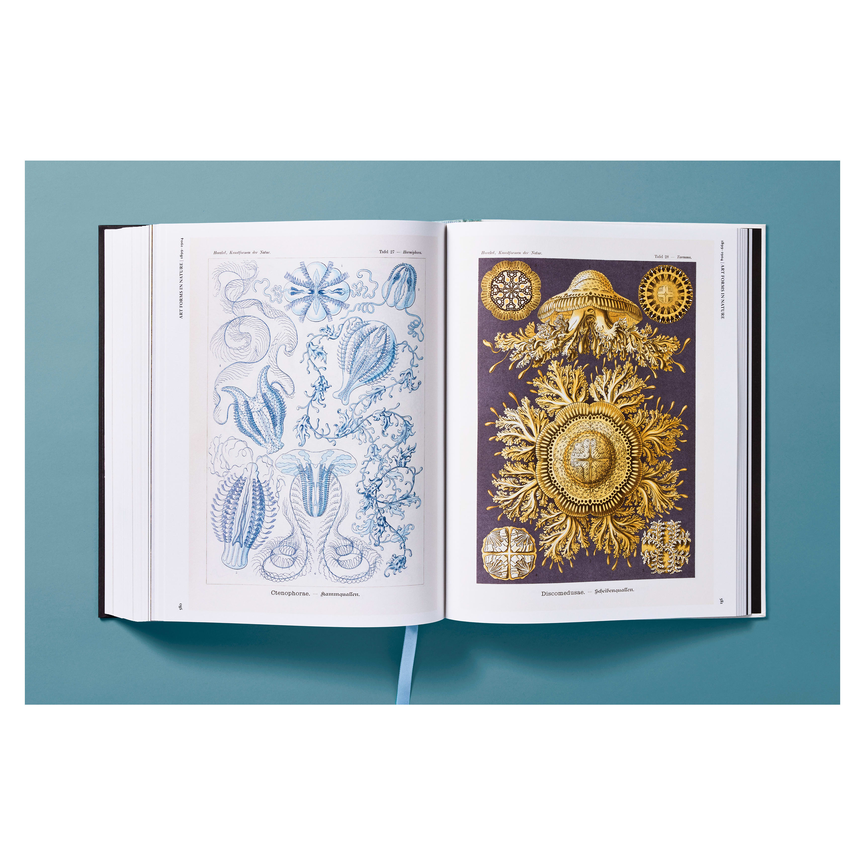 The Art and Science of Ernst Haeckel (German, French, English)