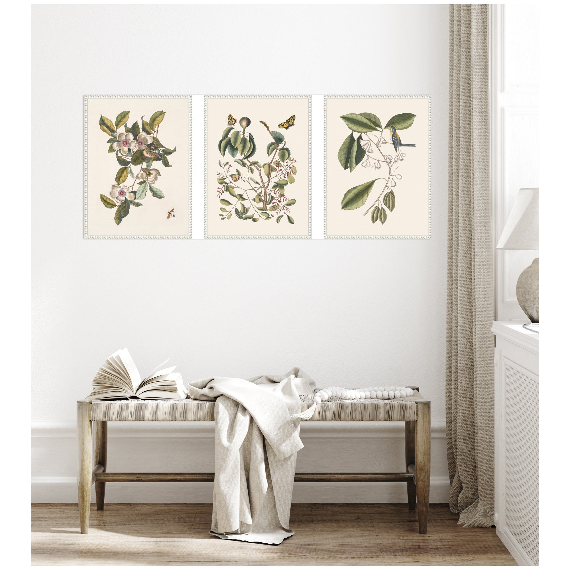 1754 Mark Catesby Botanicals and Avian Studies 3 Piece Framed Canvas Wall Art Set by Nostalgia Prints