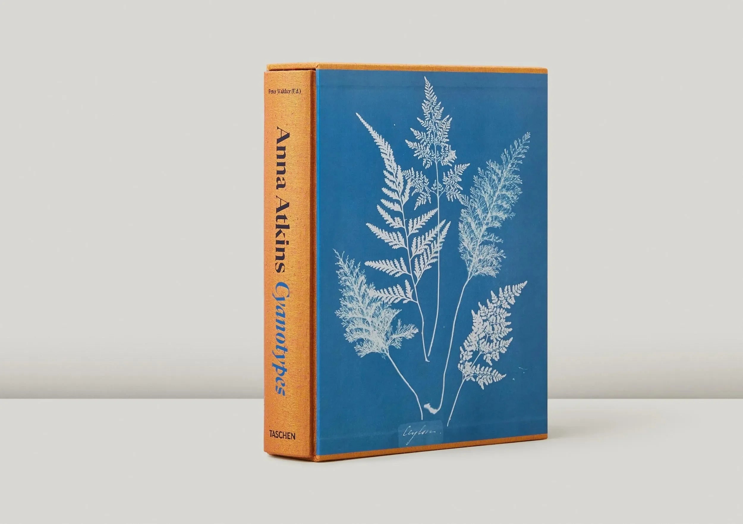 Anna Atkins. Cyanotypes (German, French, English) (FFE) - The Mayfair Hall