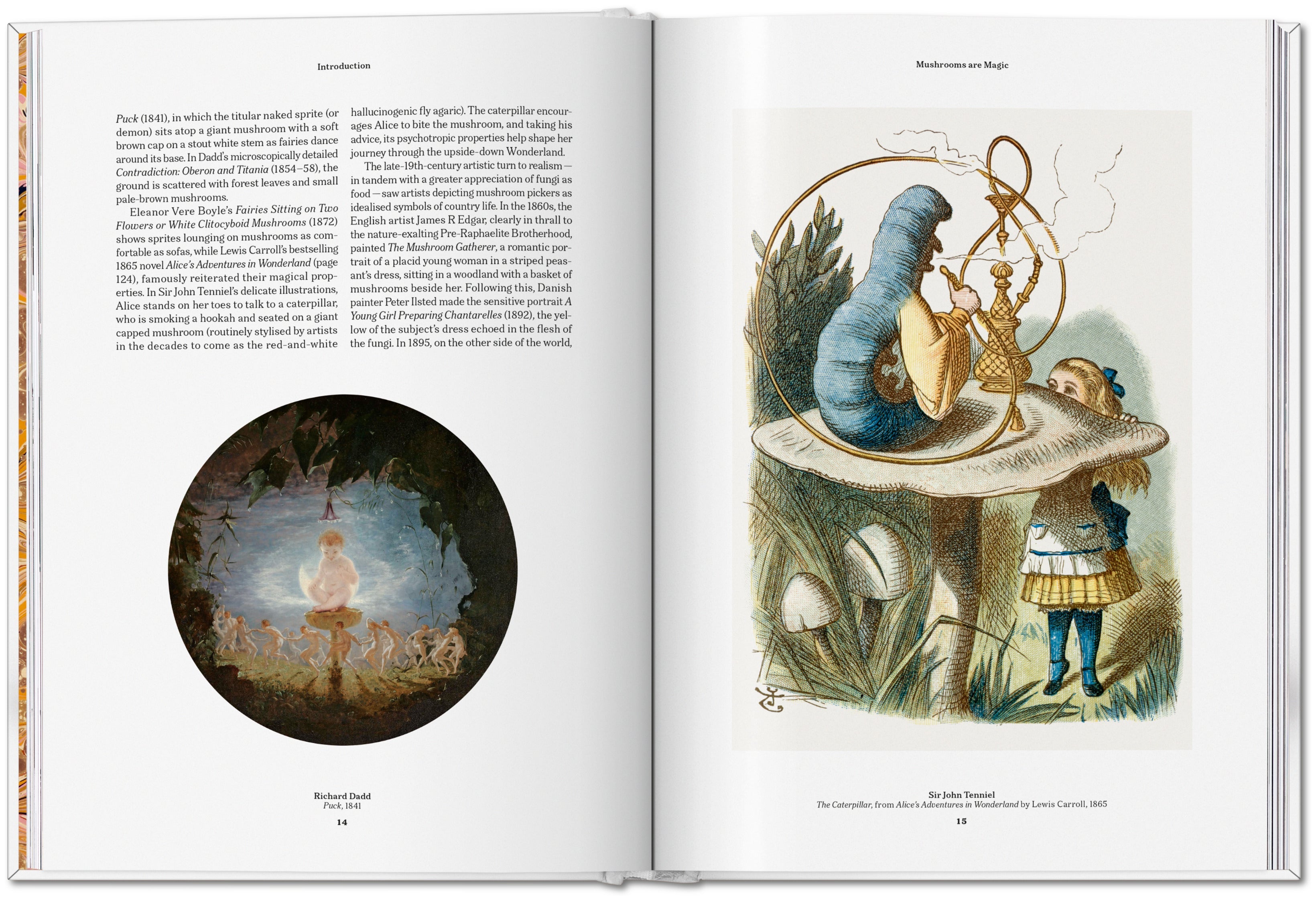 The Gourmand's Mushroom. A Collection of Stories and Recipes (English)