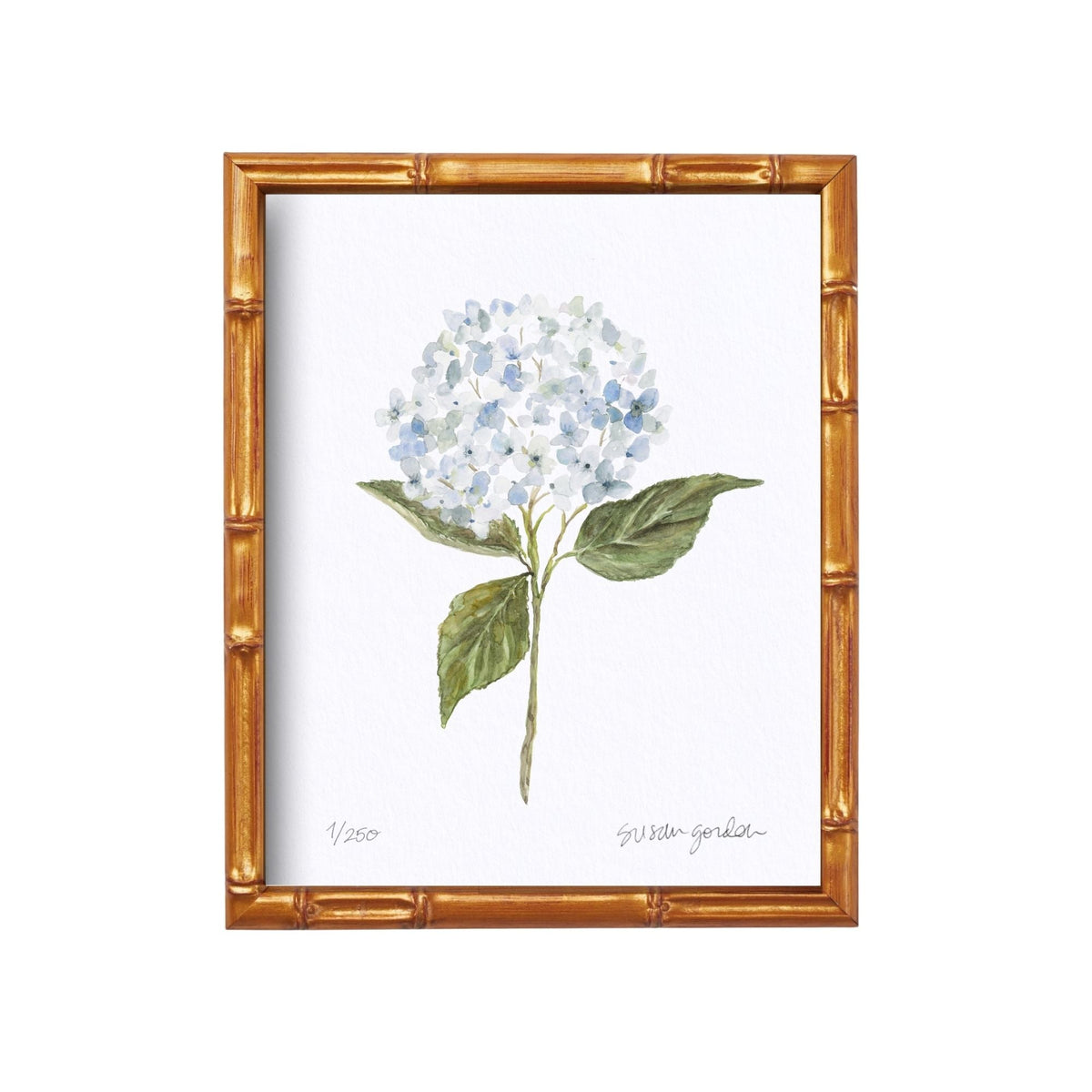 8x10 Hydrangea Print No. 1 By Susan Gordon