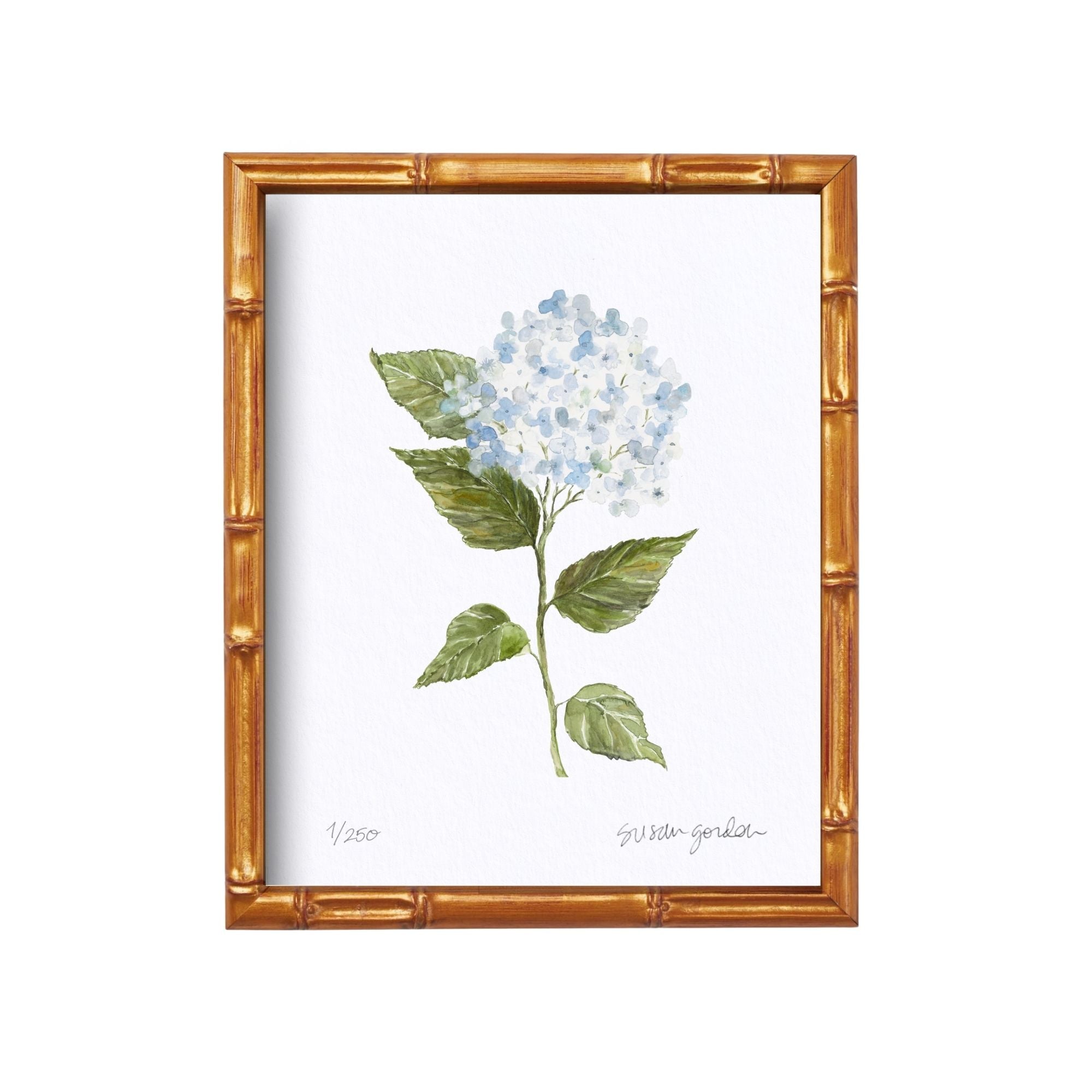 8x10 Hydrangea Print No. 2 By Susan Gordon