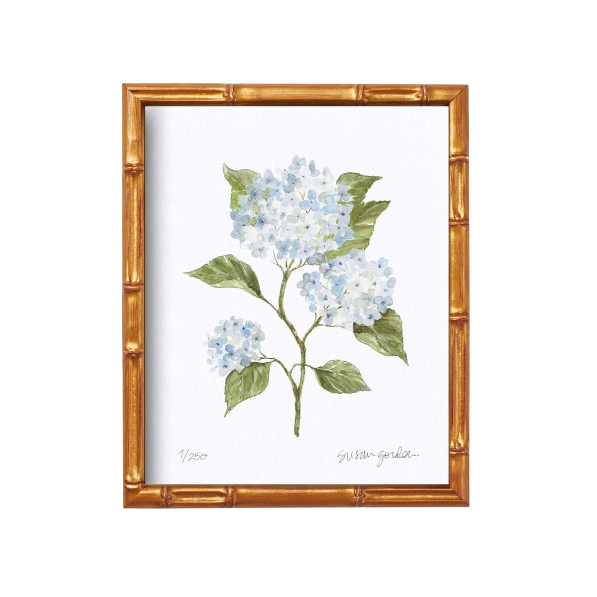 8x10 Hydrangea Print No. 4 By Susan Gordon